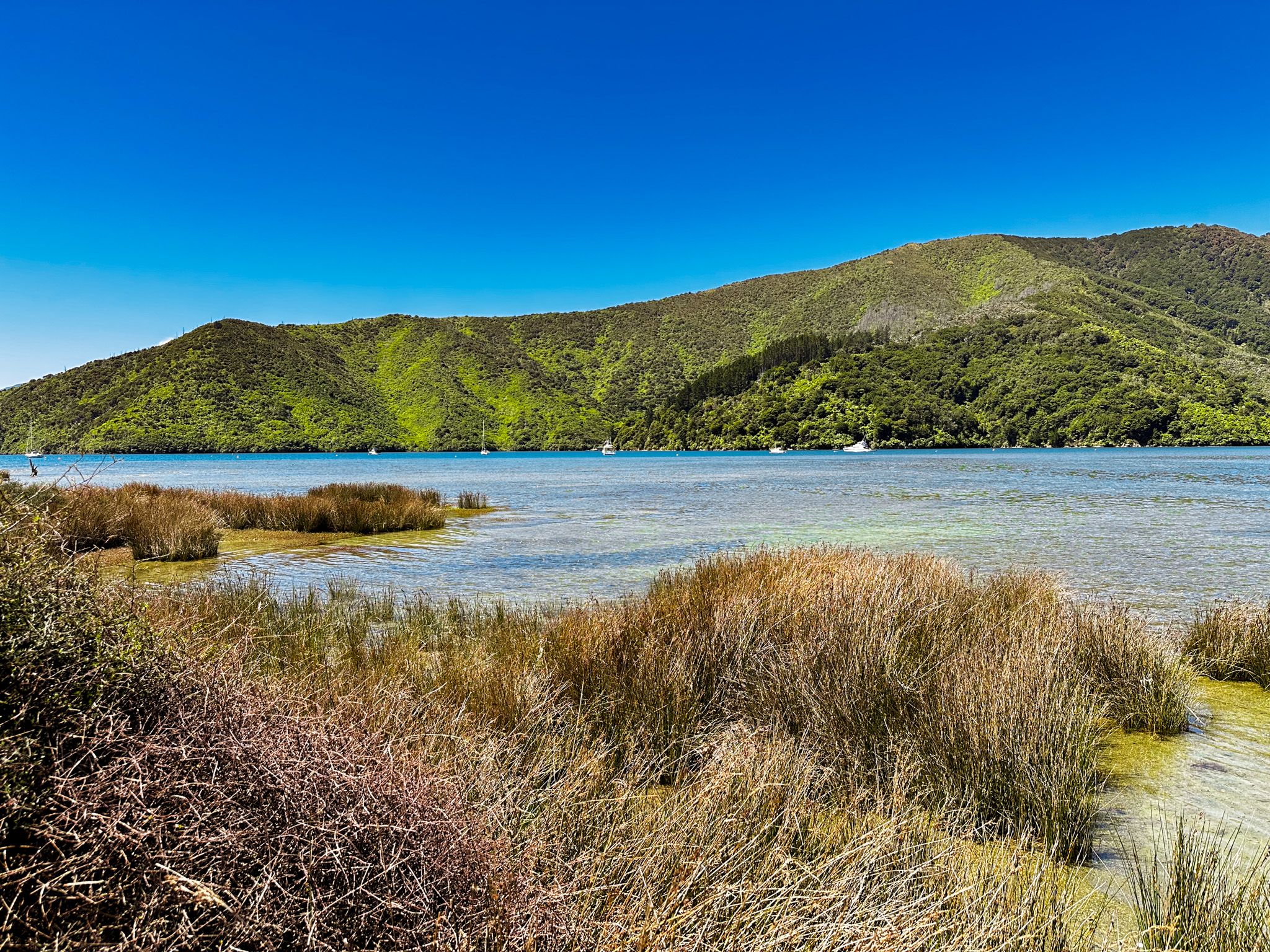 Whatamango Bay