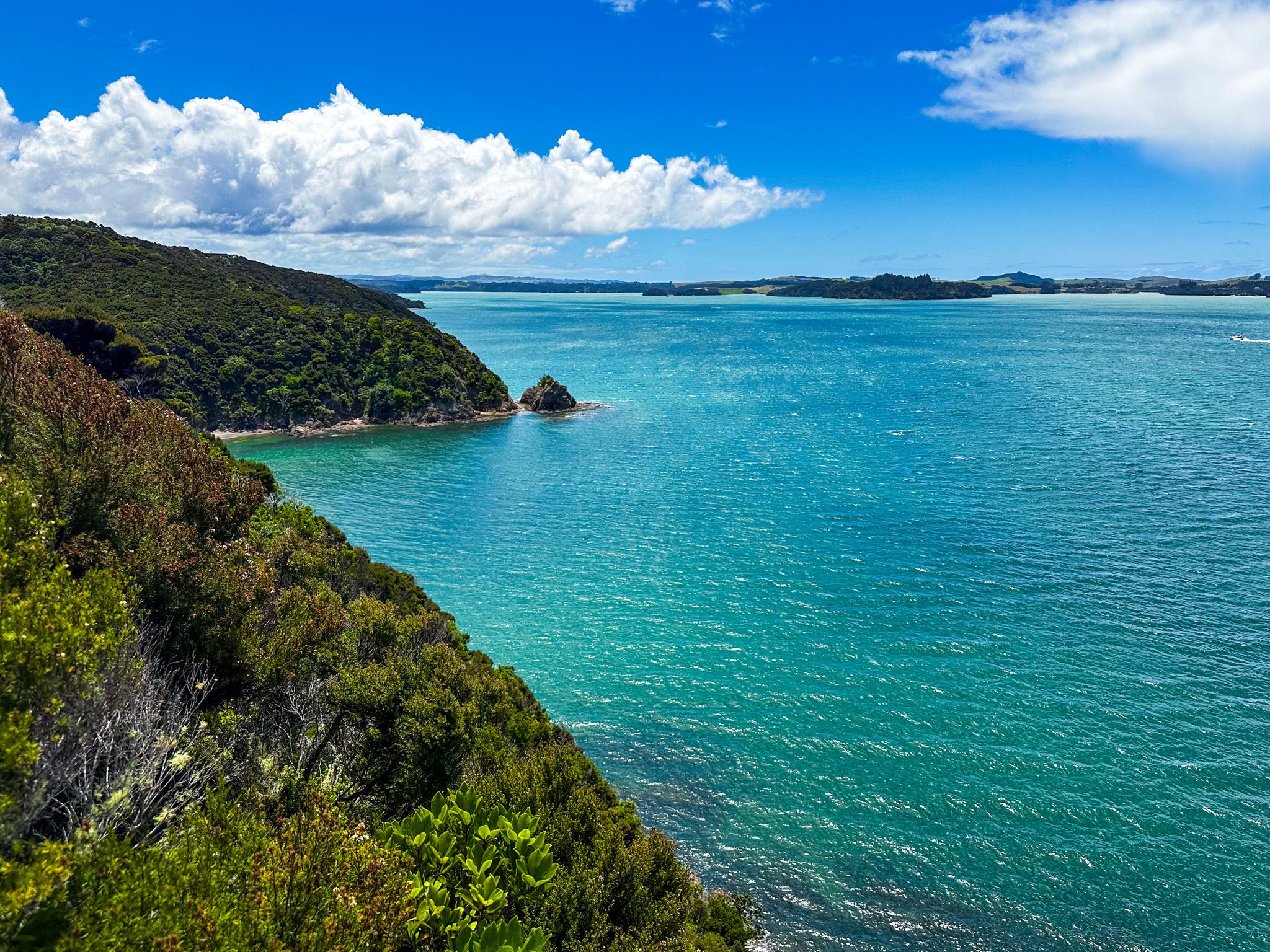 Akeake Point Historic Reserve