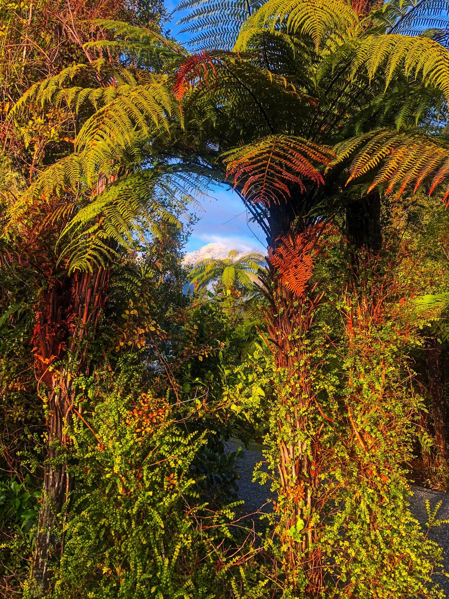 Image 5 of 6