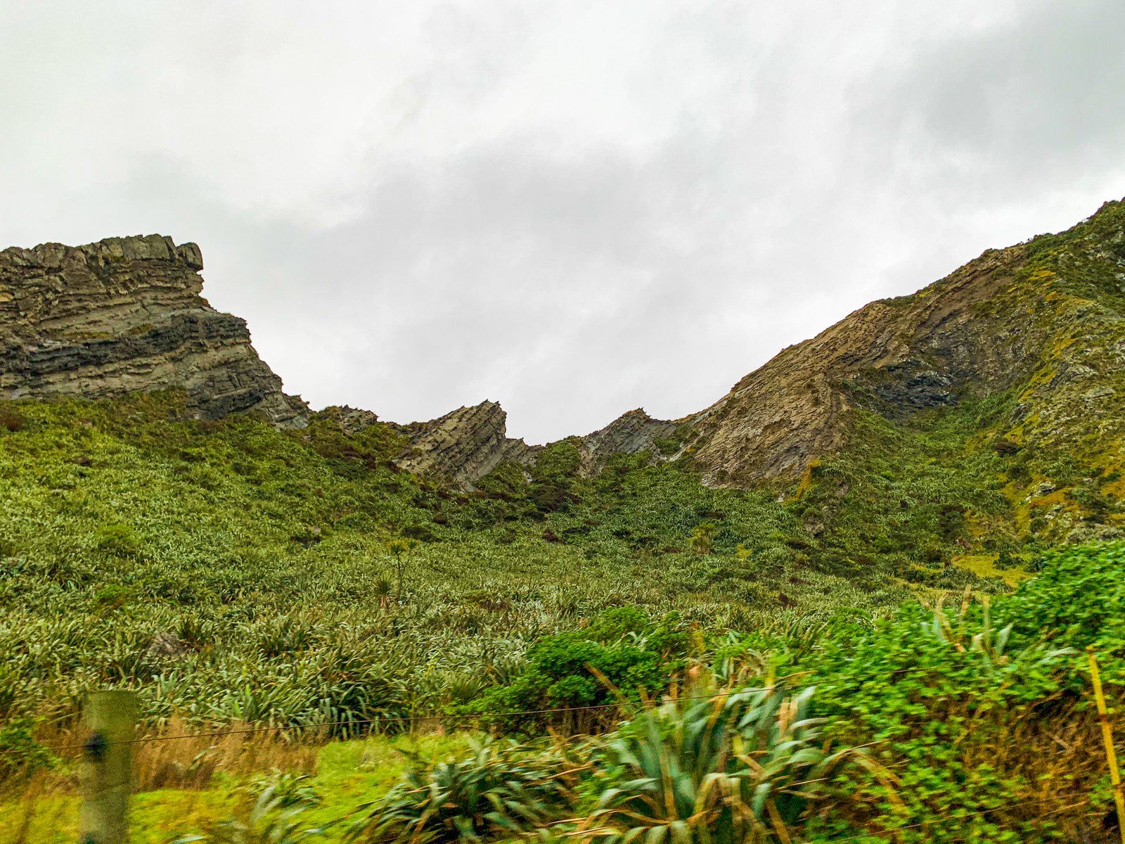 Image 8 of 11