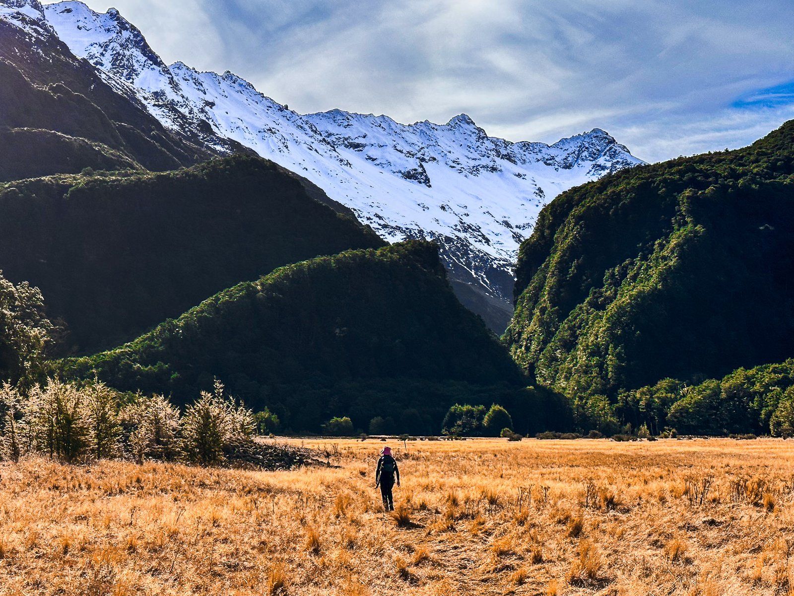 Canyon Creek Track