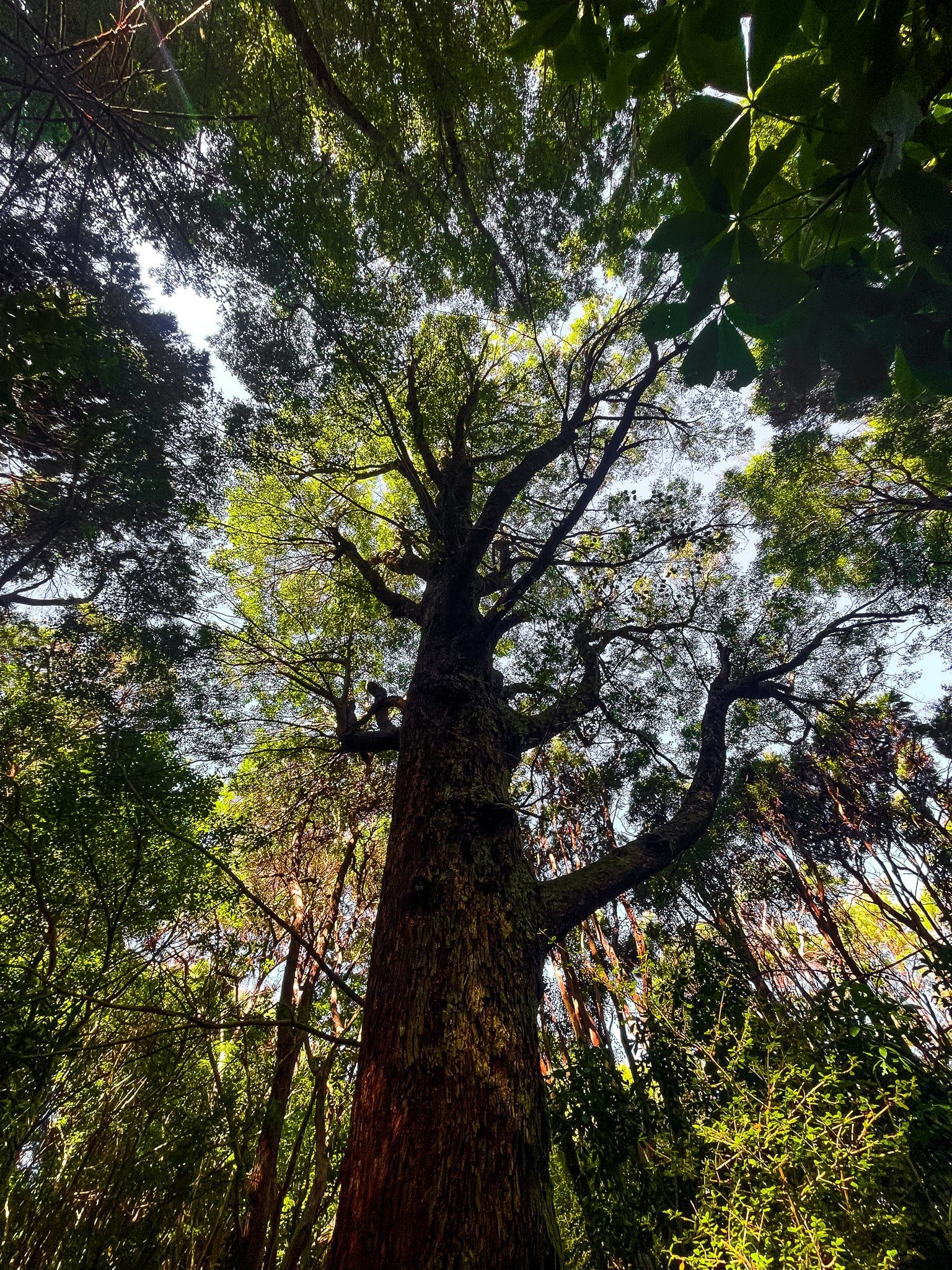 Image 10 of 12