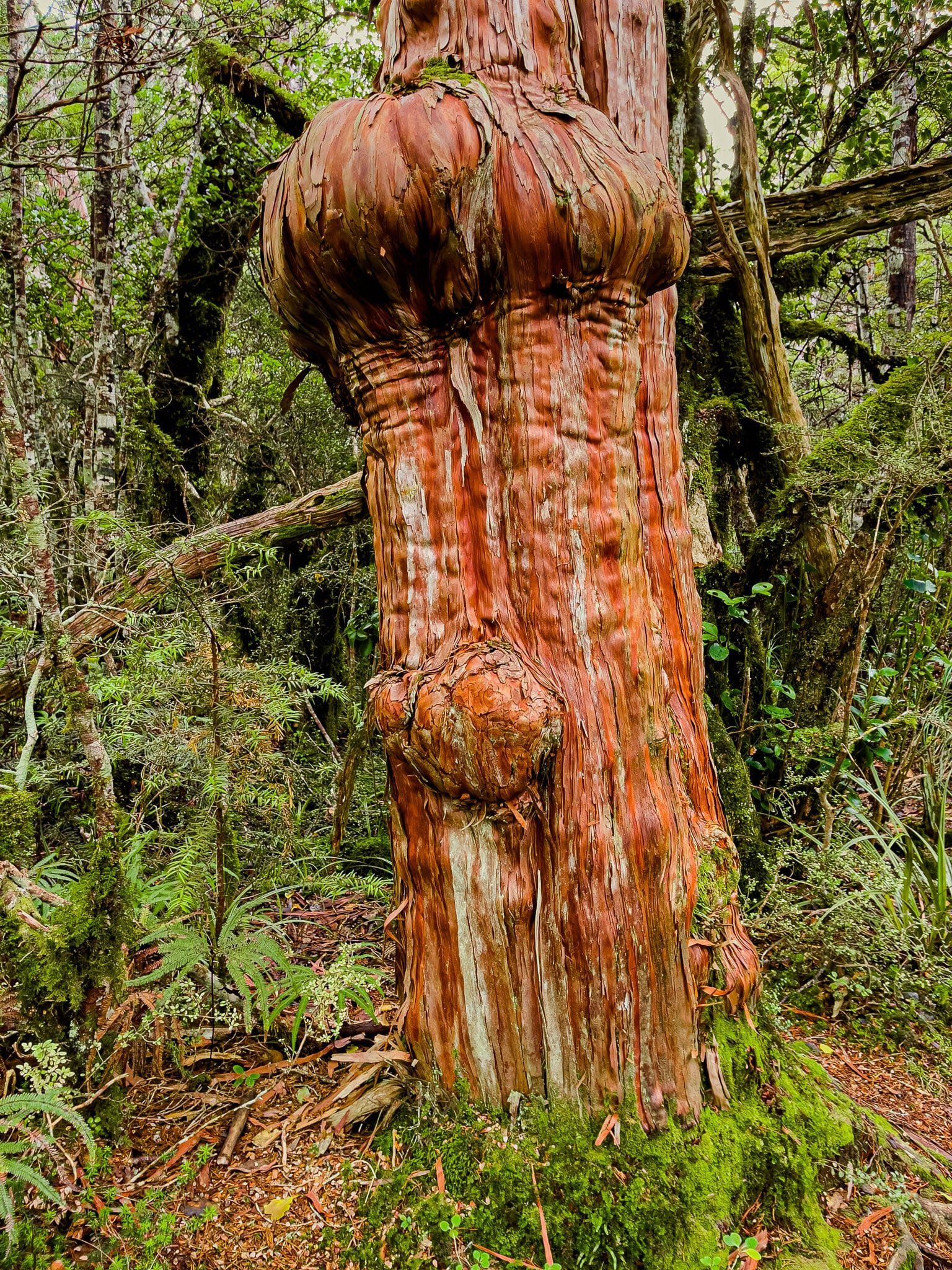 Image 10 of 11
