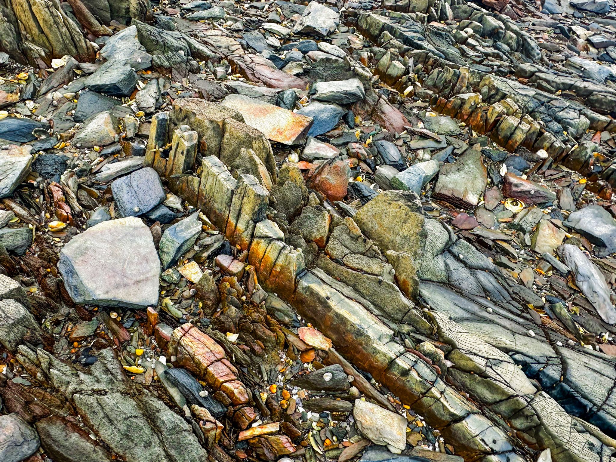 Image 10 of 12