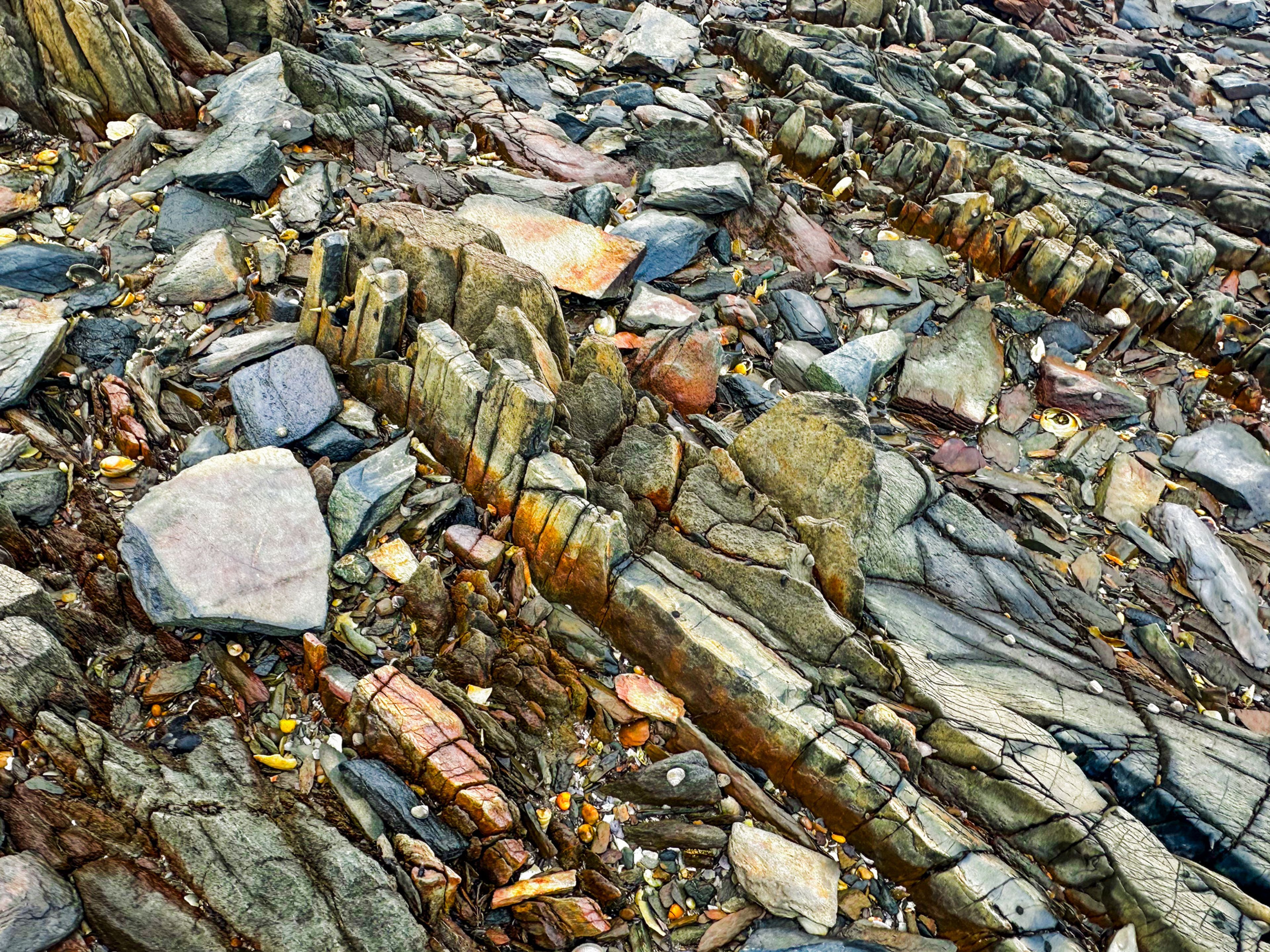 Image 10 of 12