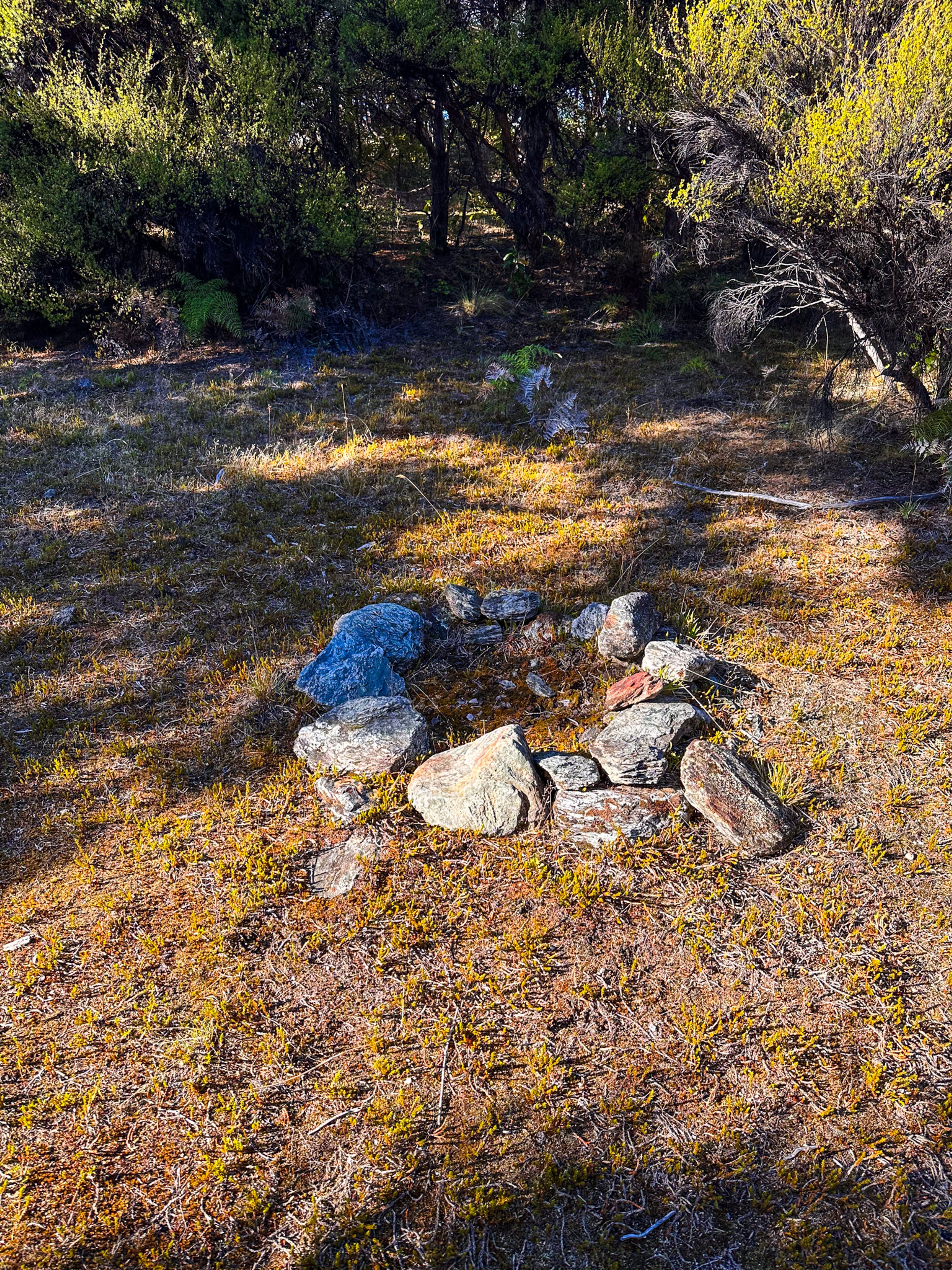 Image 4 of 10