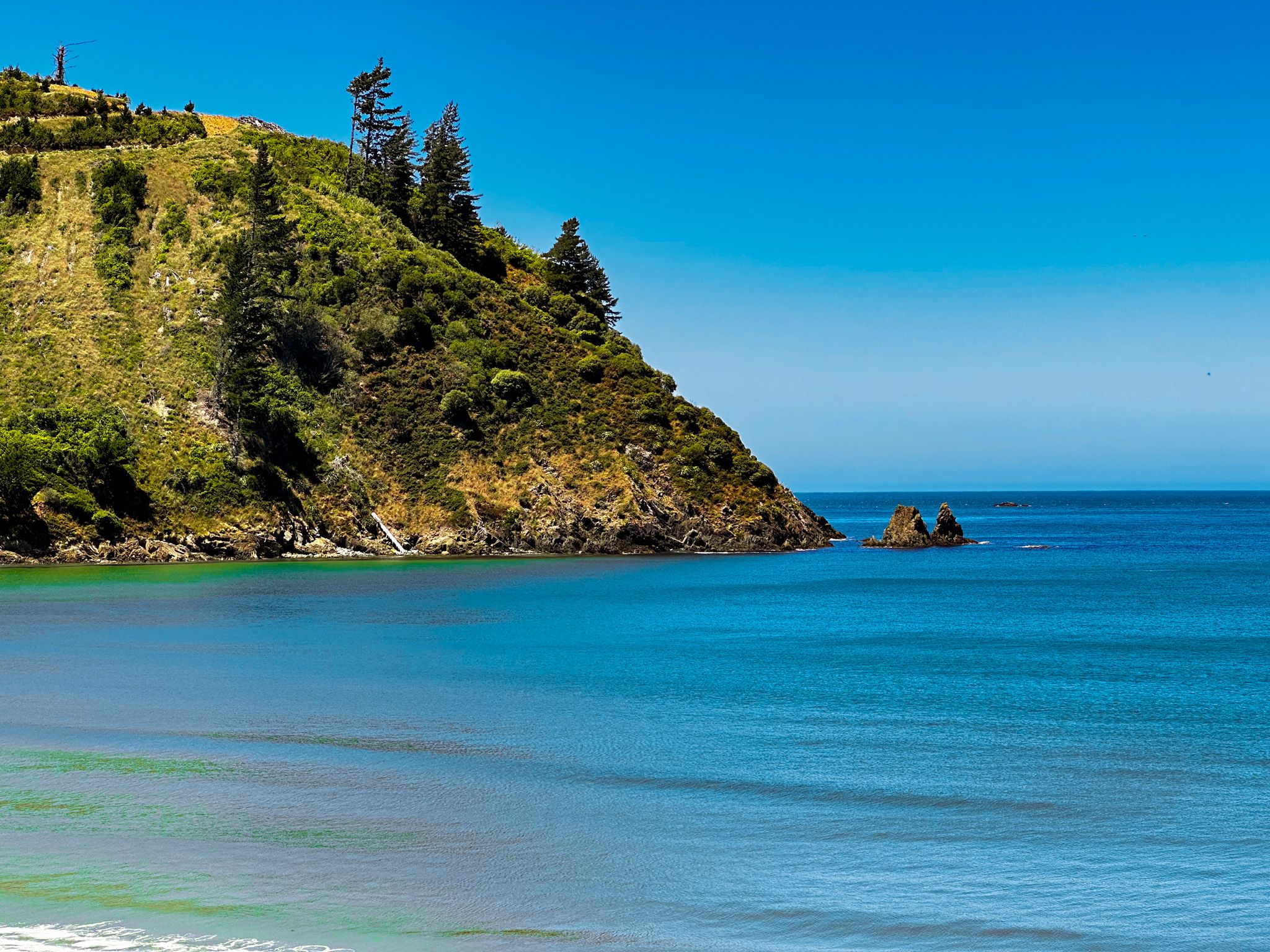 Waikutakuta / Robin Hood Bay