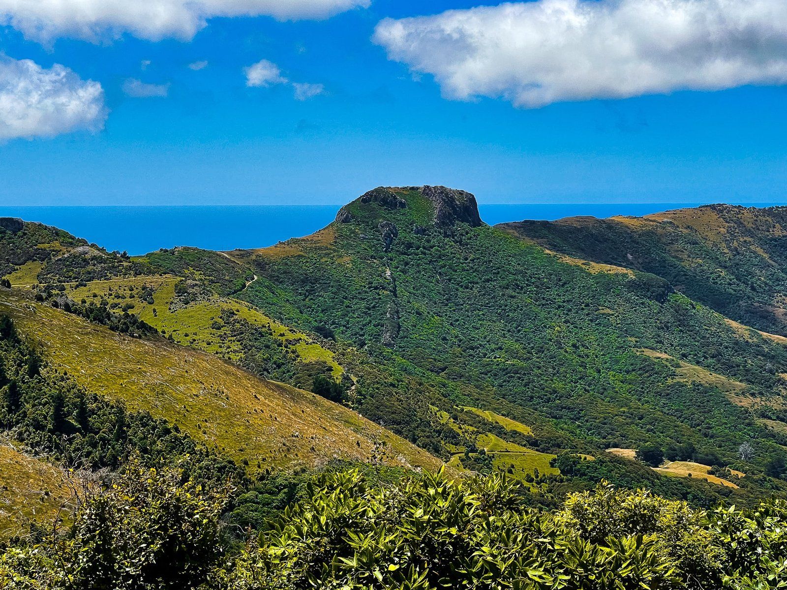 Image 8 of 10
