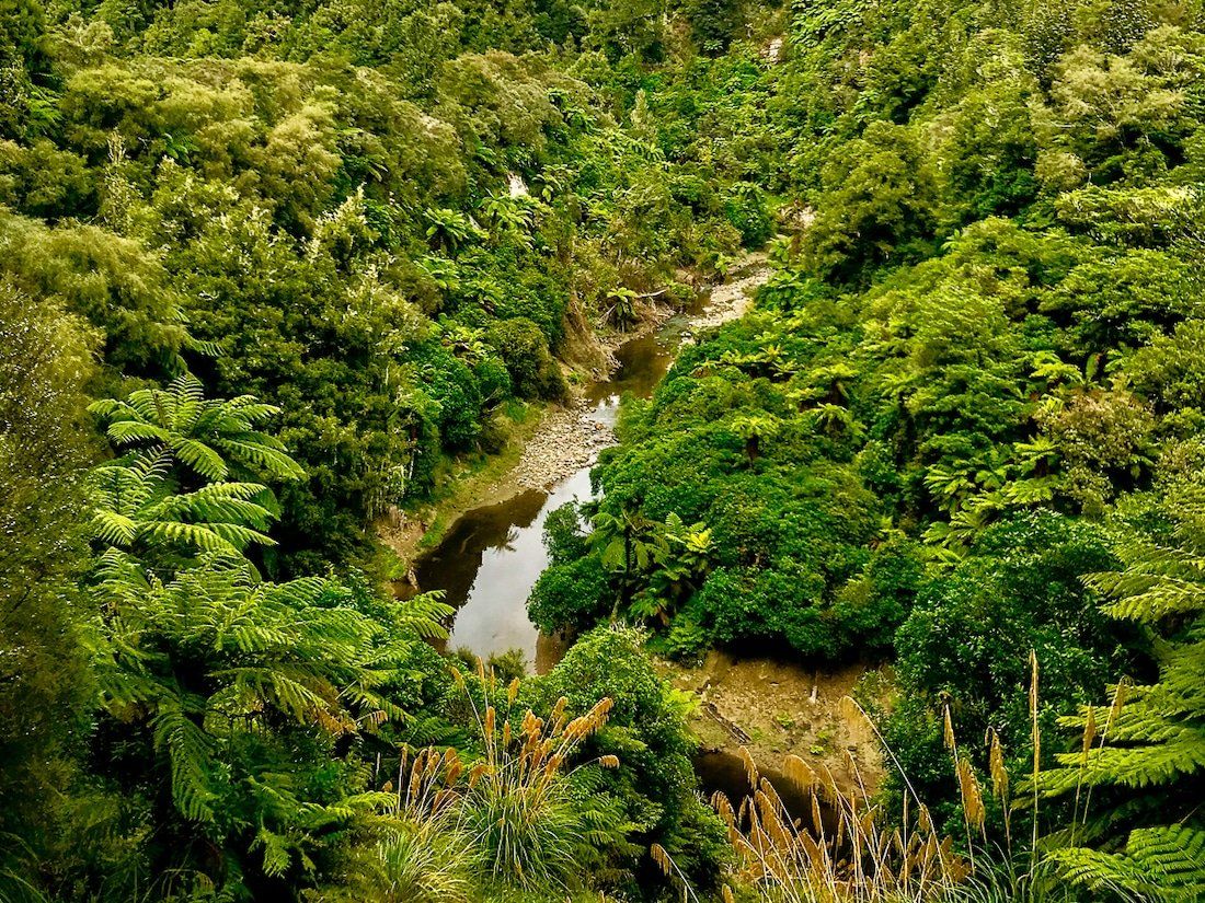 Image 6 of 6