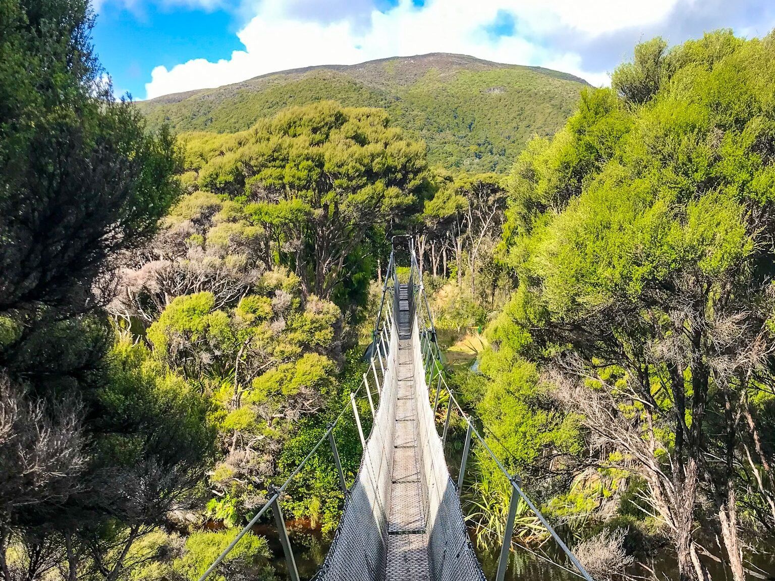 Image 2 of 10