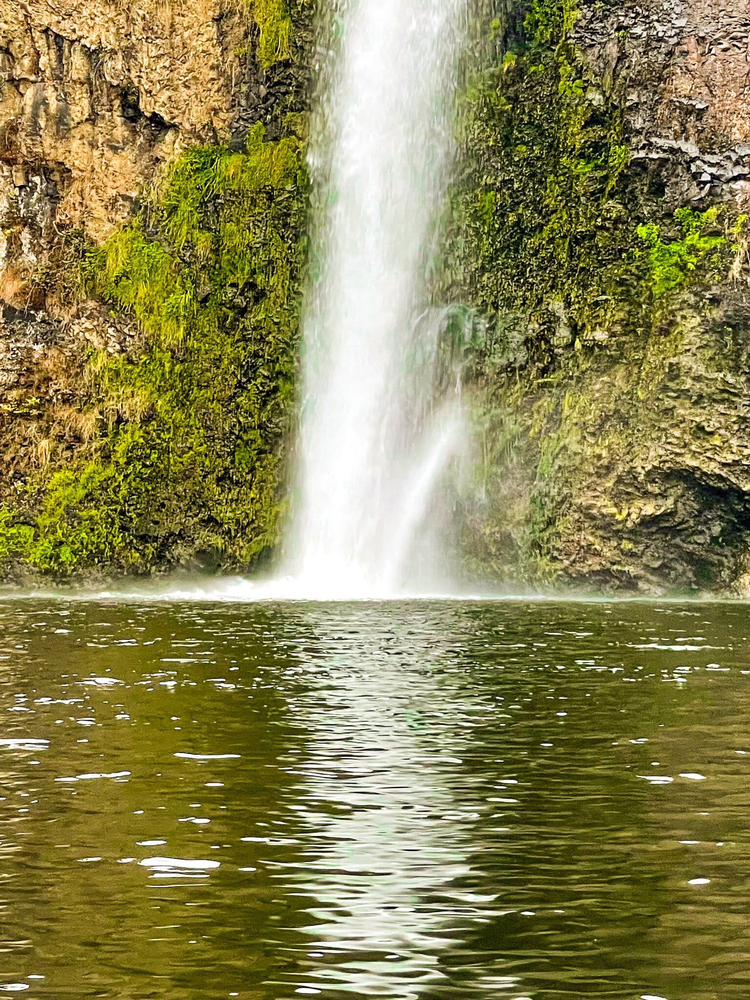Image 6 of 6