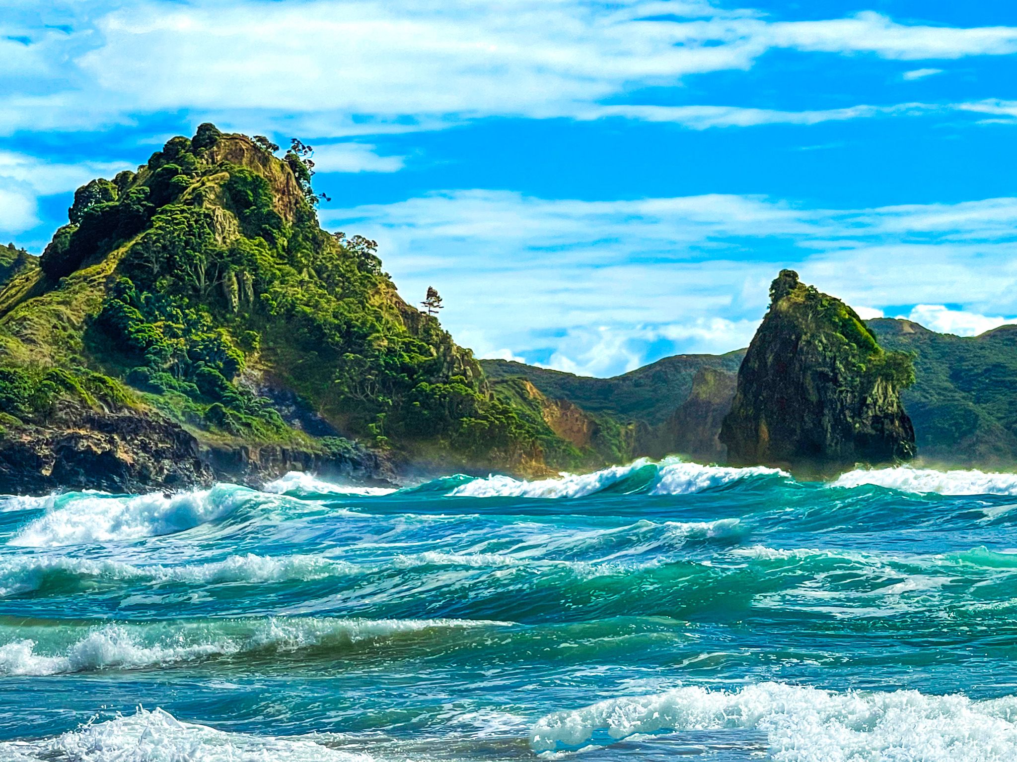 Aotea Great Barrier Island