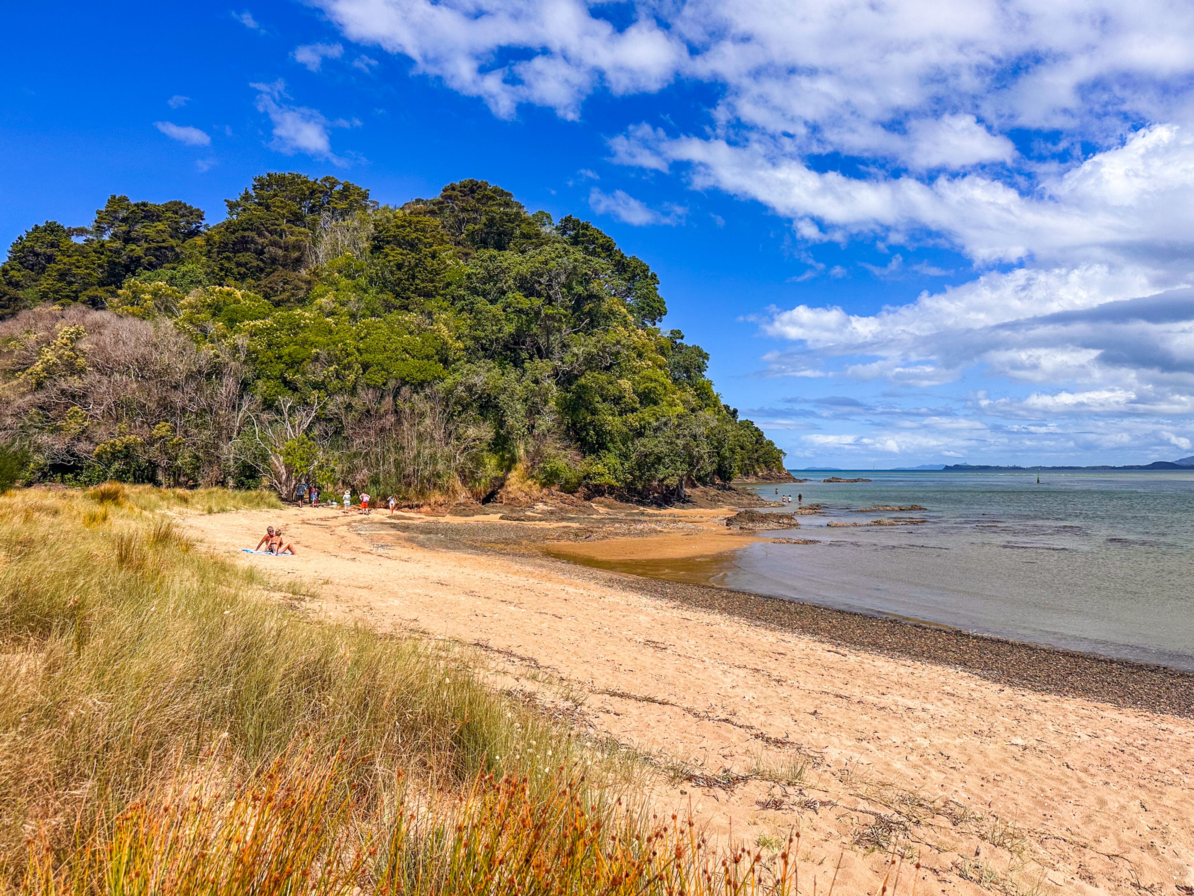 Image 9 of 10