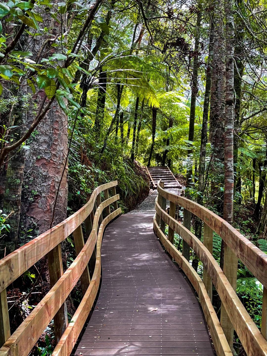 Waitākere Ranges | West Auckland - New Zealand Trip Ideas