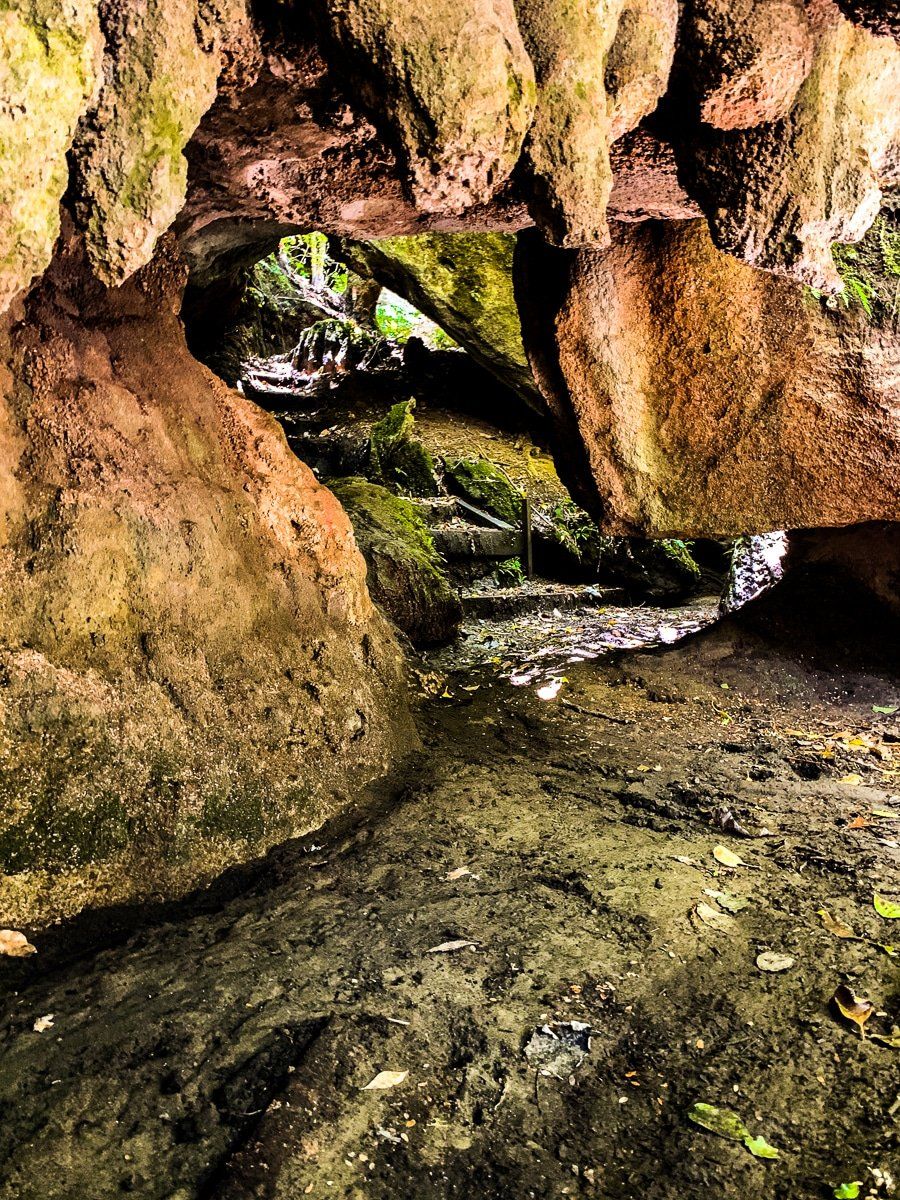 Image 6 of 7