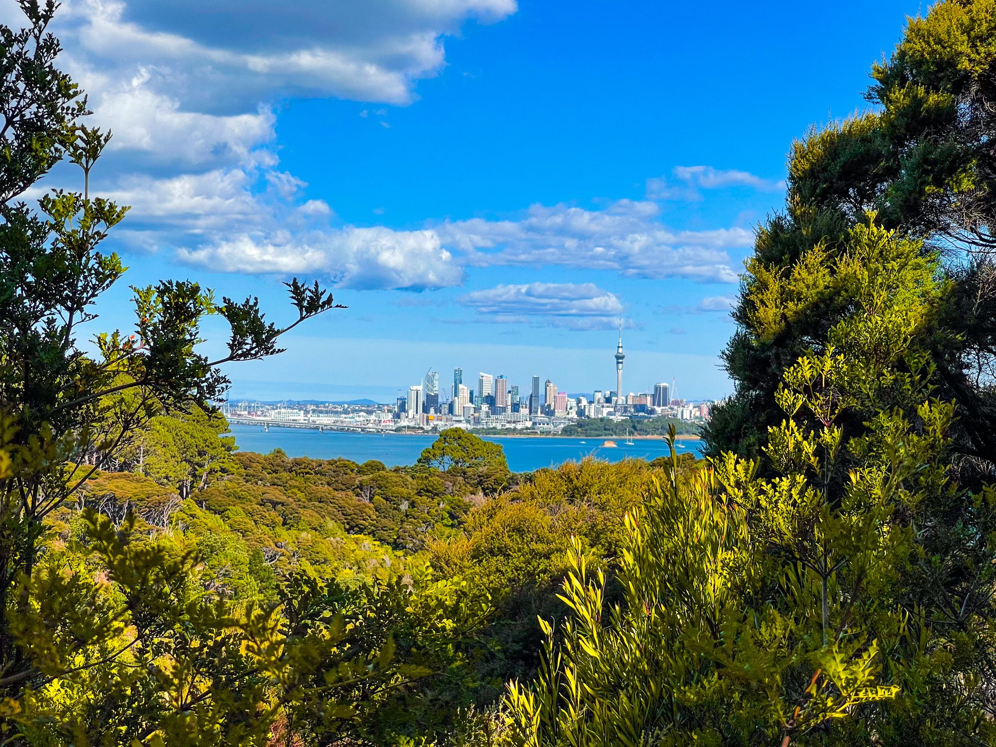 The Gems of the North Shore's Waitematā Coast