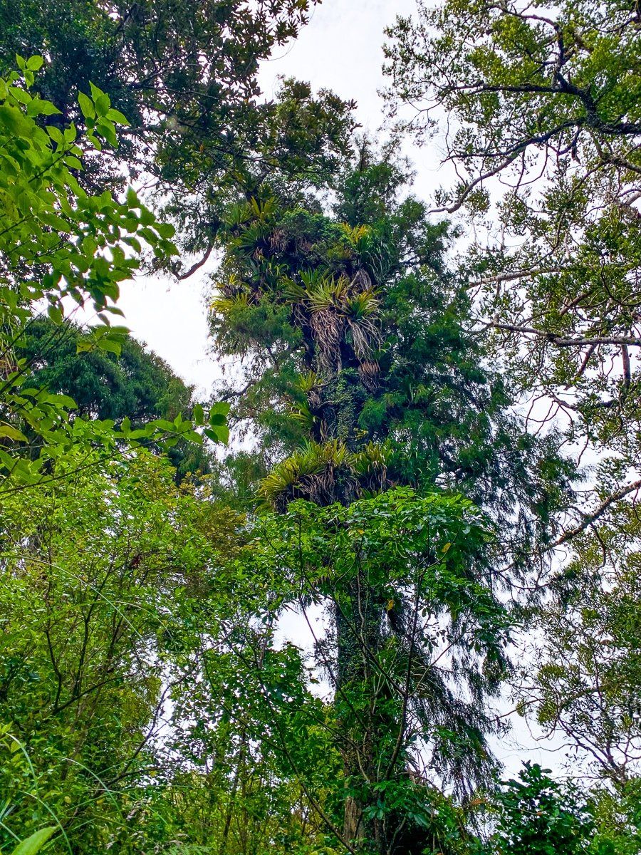 Image 4 of 6