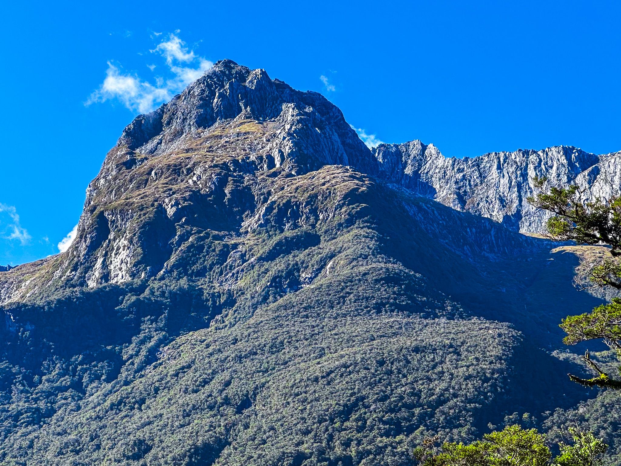 Image 5 of 10