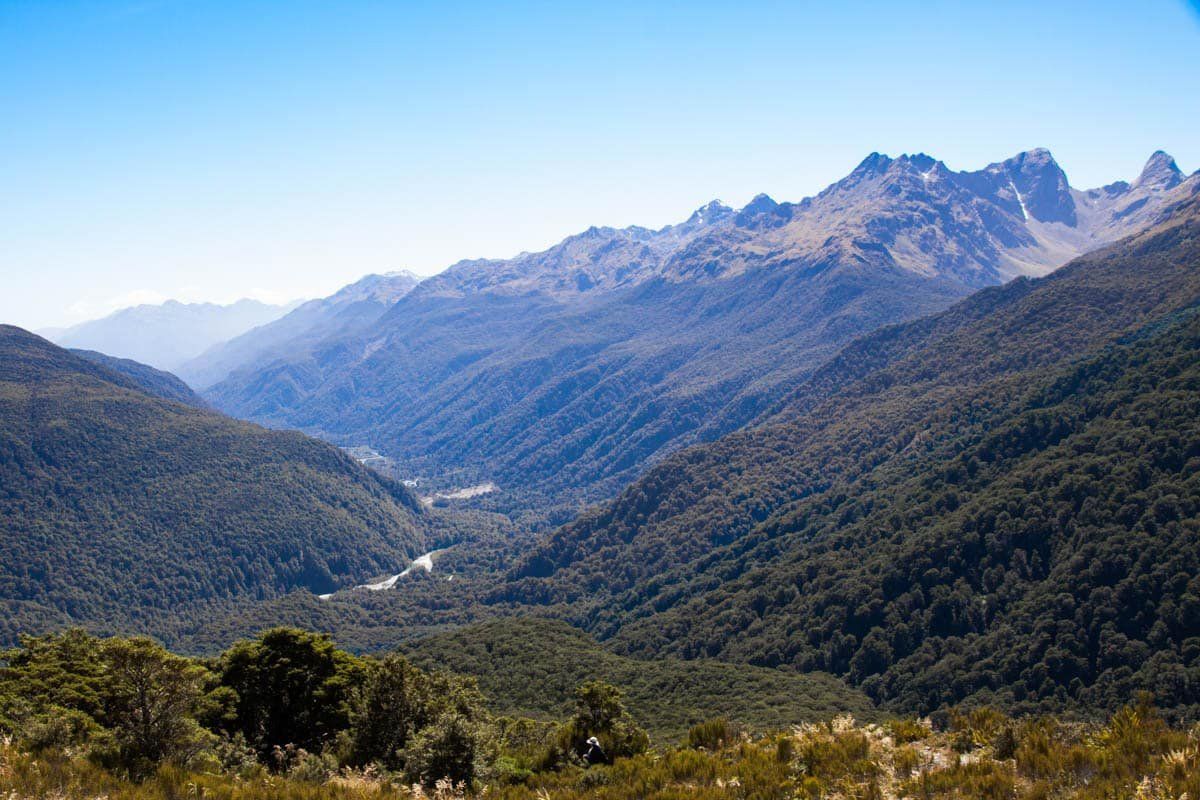 Image 6 of 9