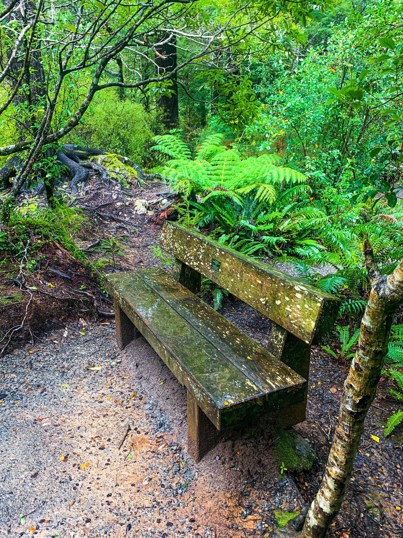 Image 7 of 8