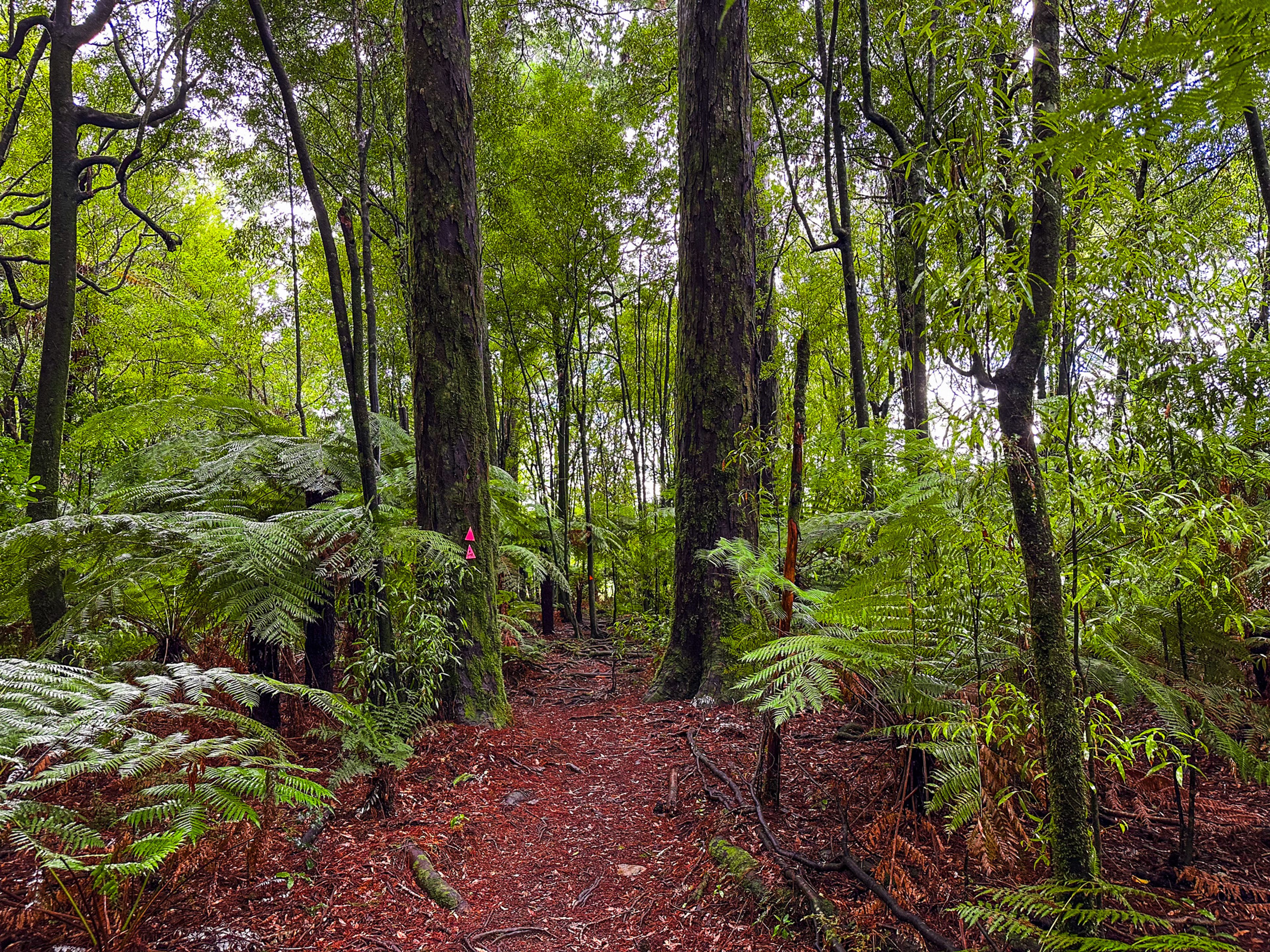 Image 6 of 10