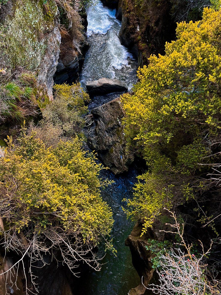 Image 2 of 6