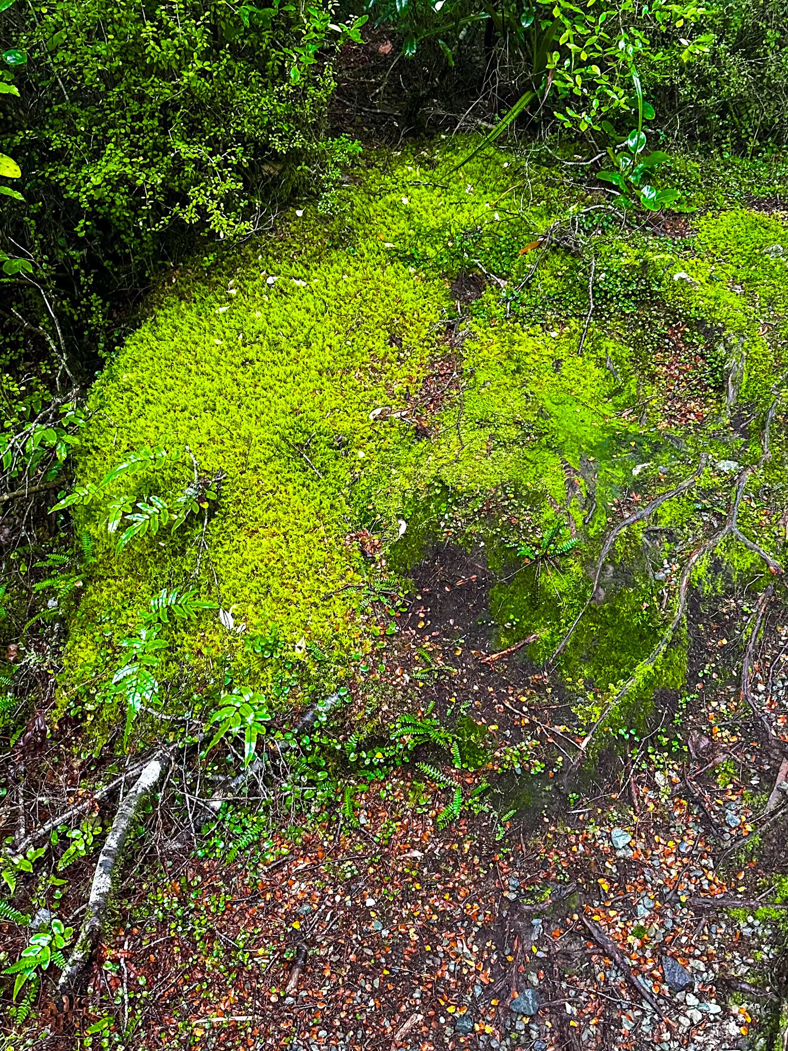 Image 3 of 10