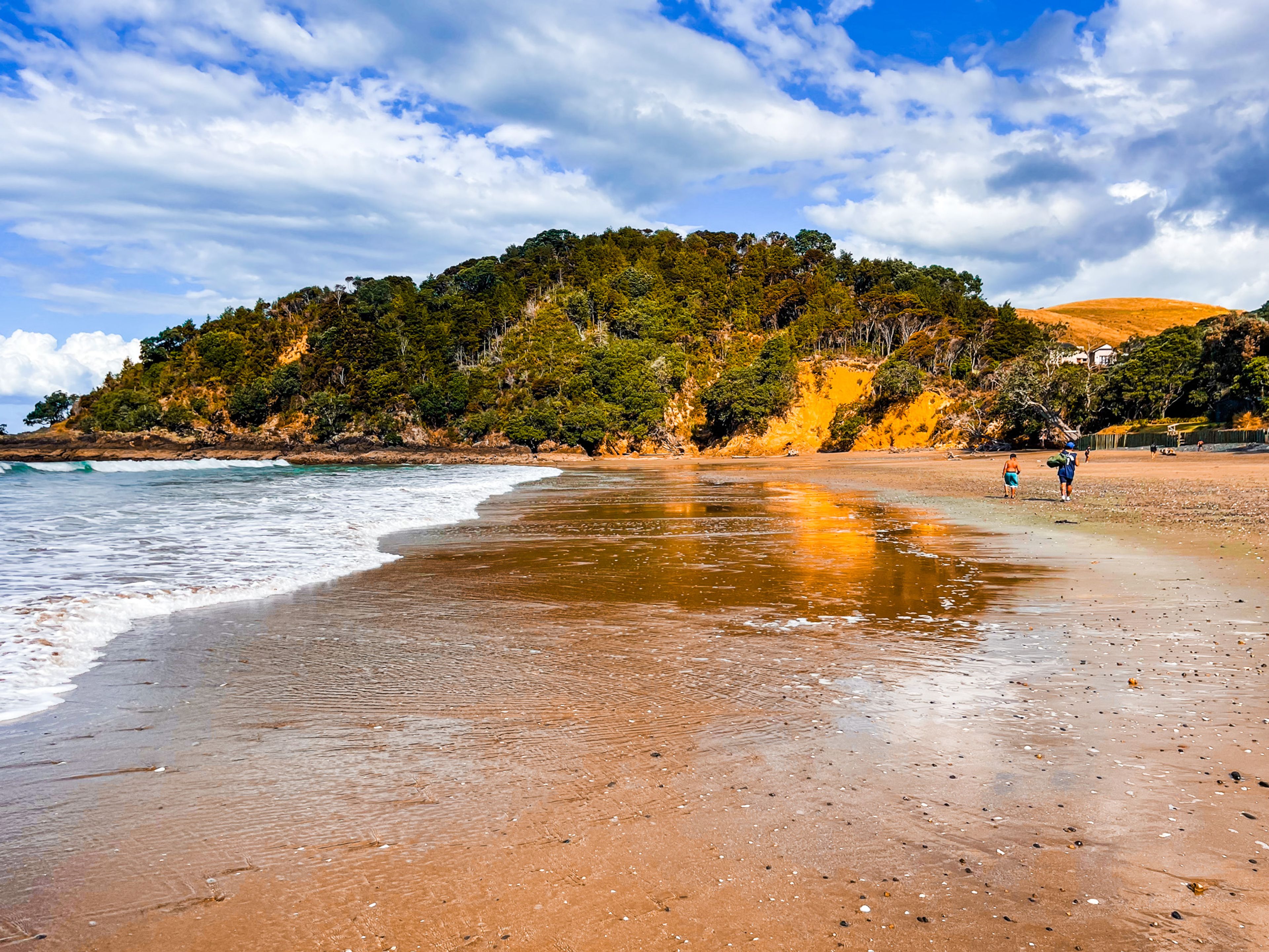 Kawakawa Bay Coast Road