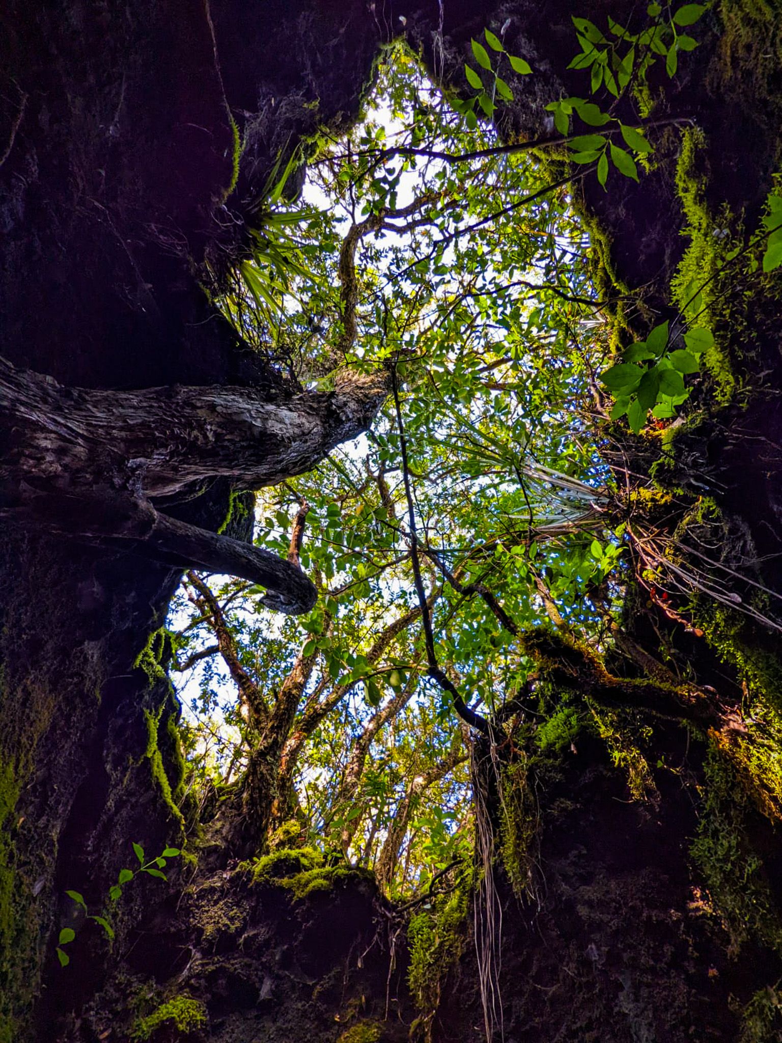Image 10 of 10