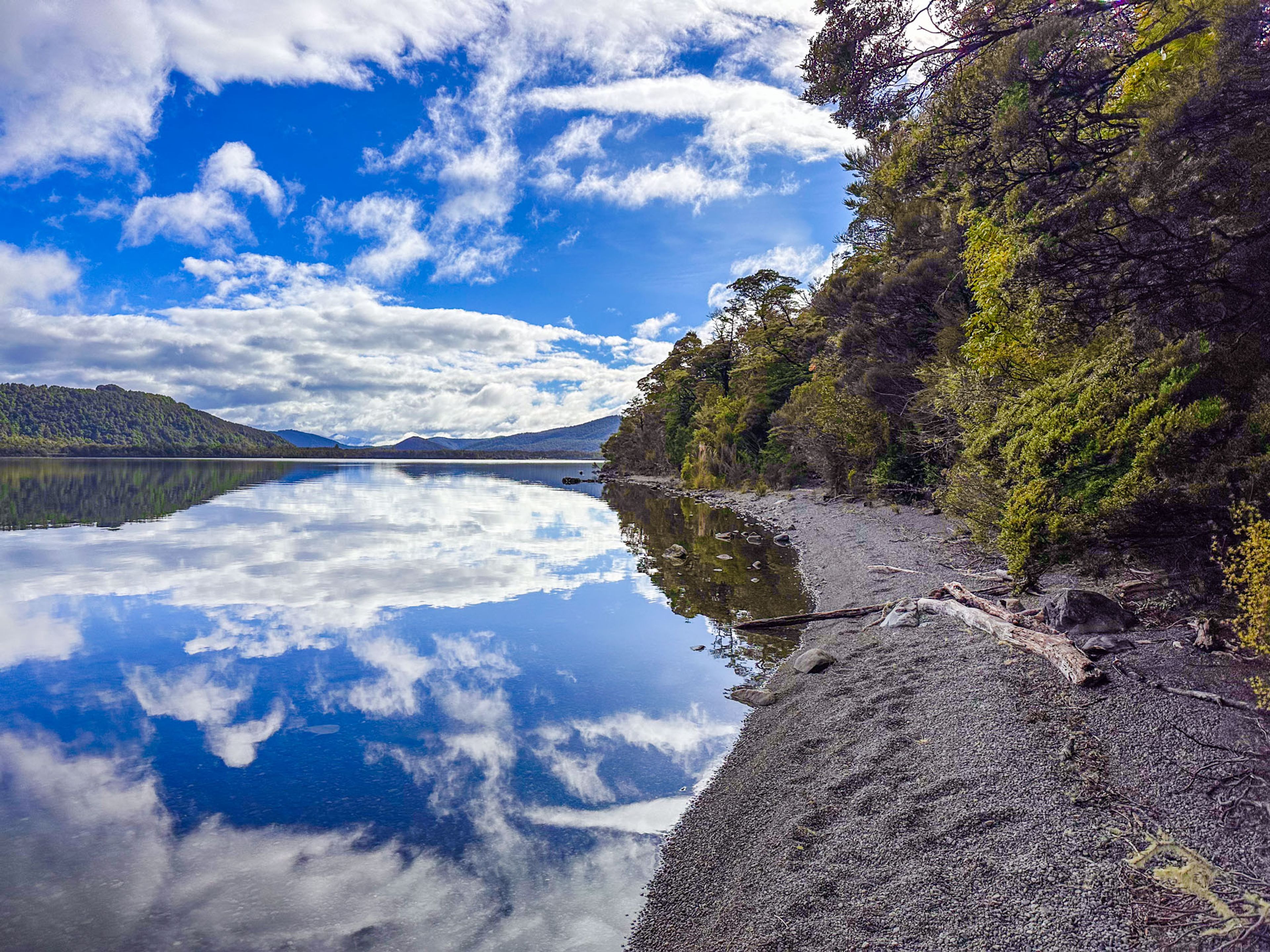 Brunner Peninsula Nature Walk