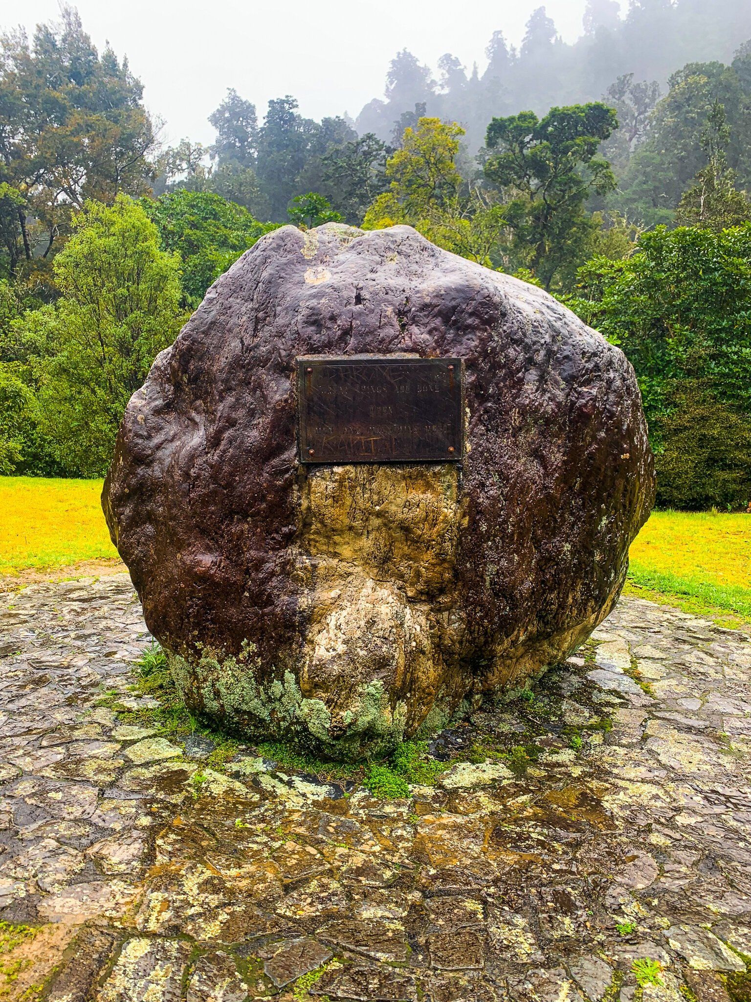 Image 5 of 8