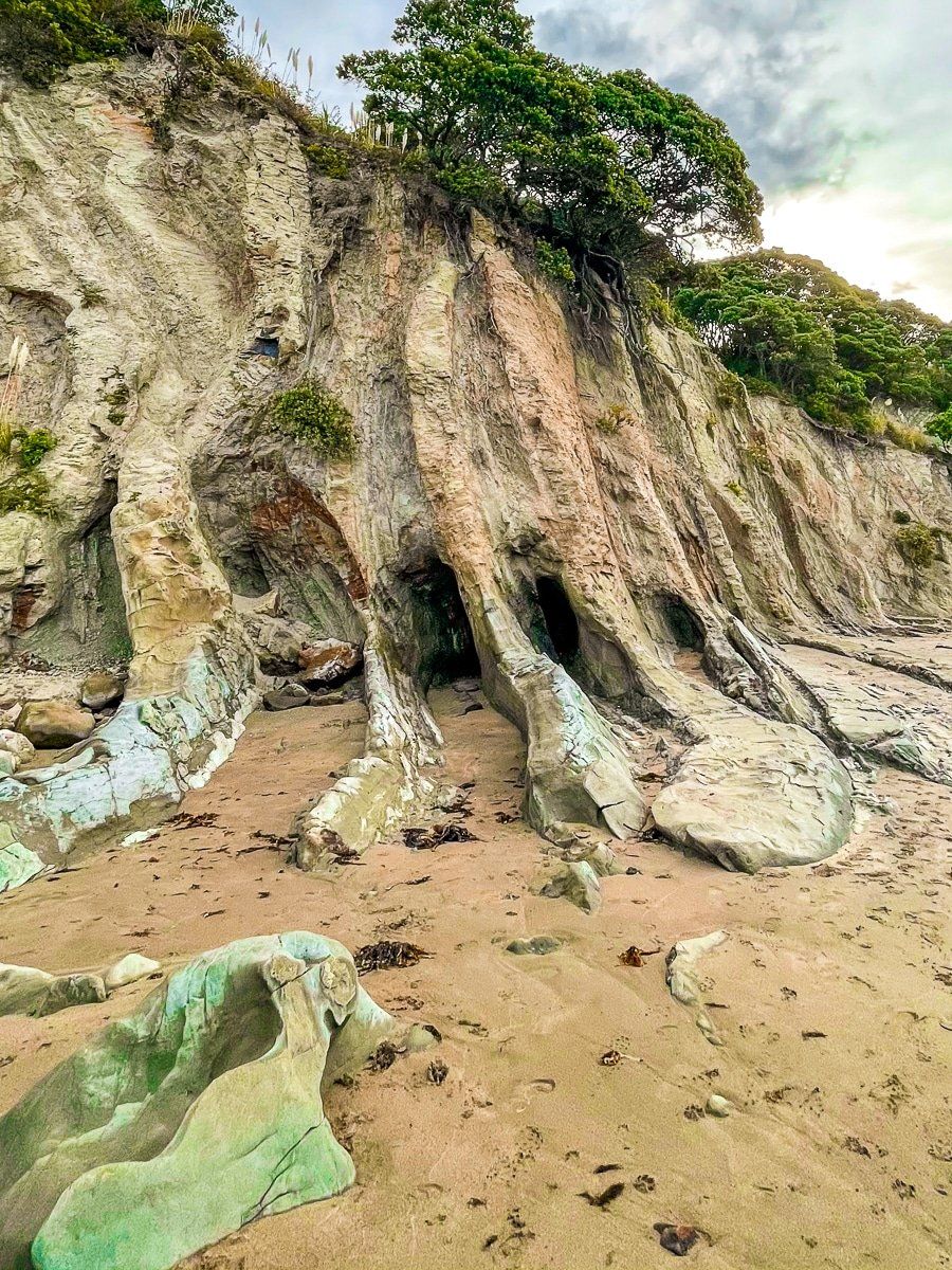 Image 6 of 6