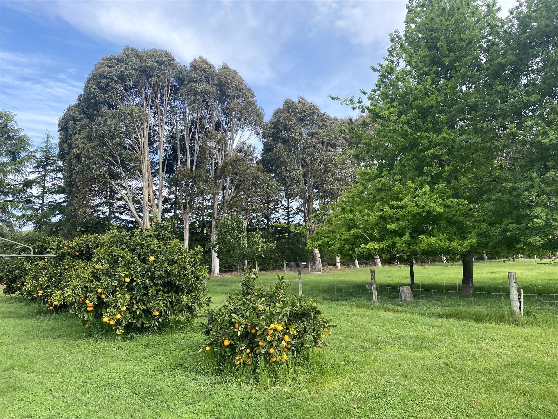 Clairvale Gardens