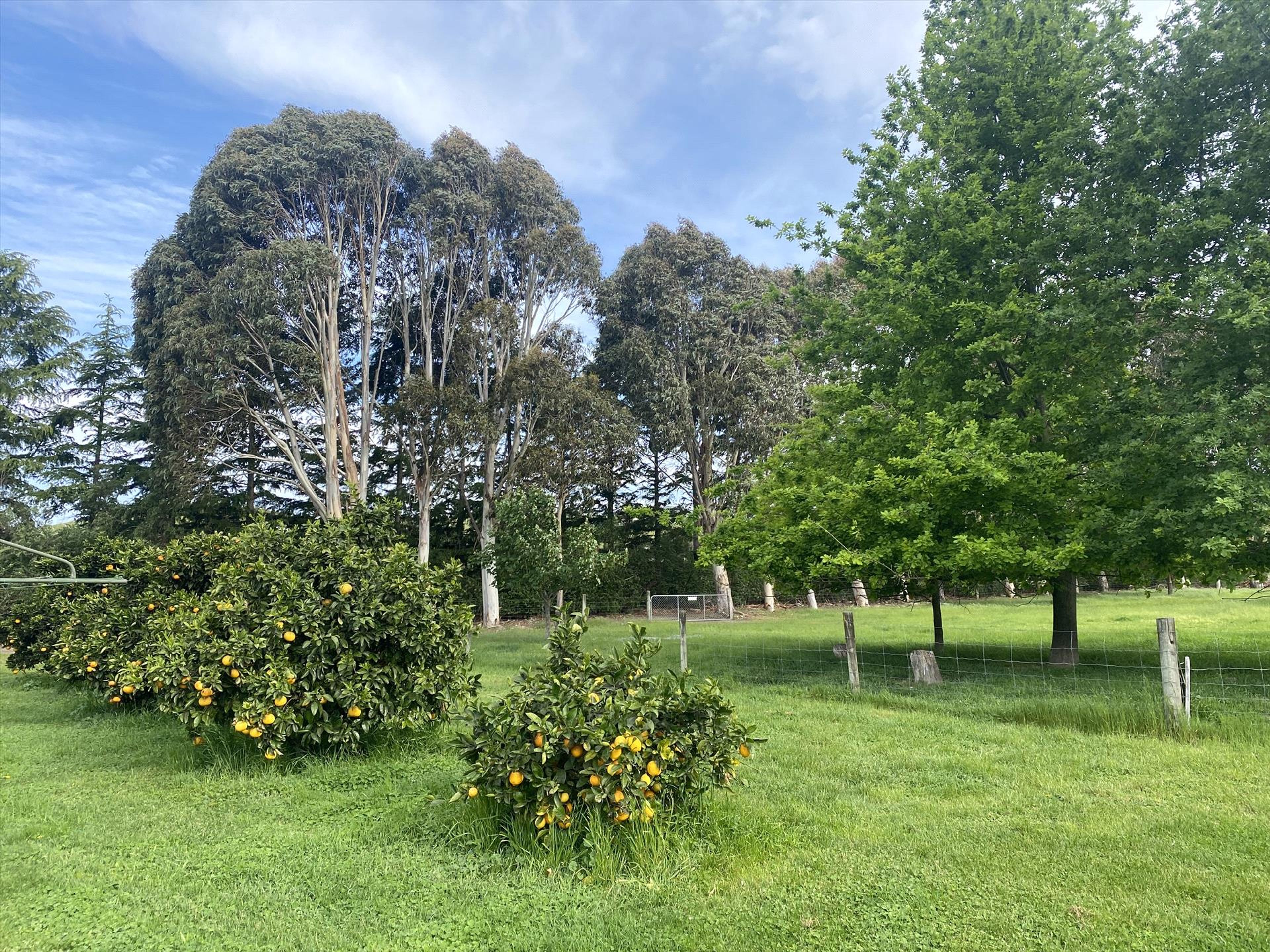 Clairvale Gardens