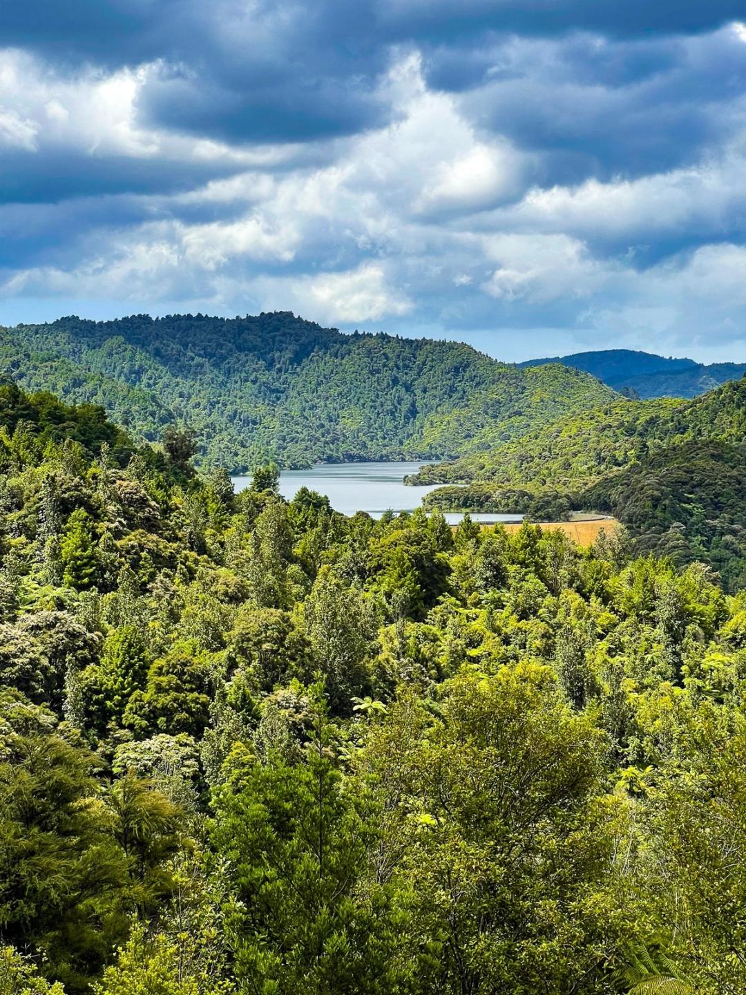 Hunua Ranges | South Auckland - New Zealand Trip Ideas