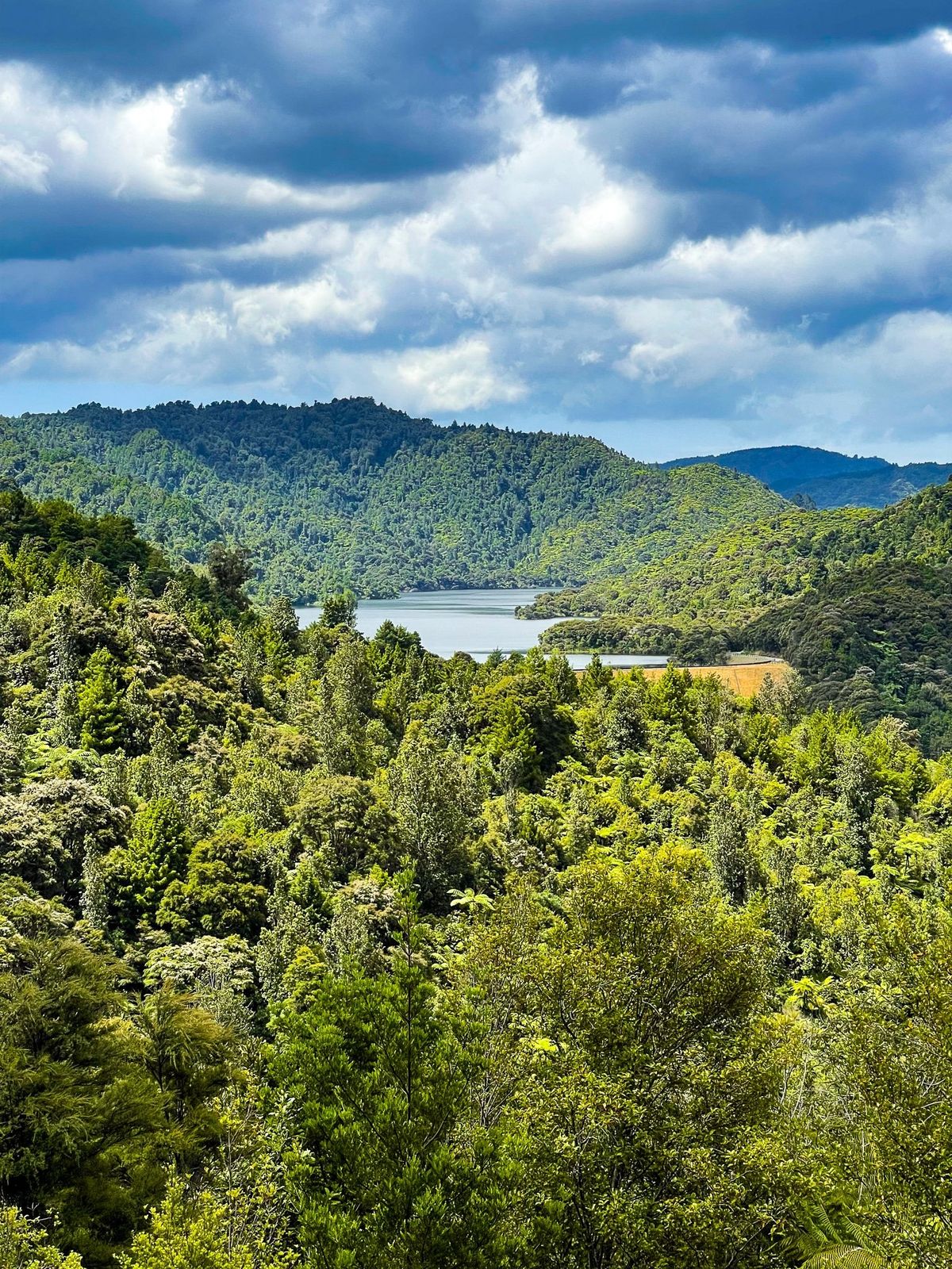 Hunua Ranges | South Auckland - New Zealand Trip Ideas