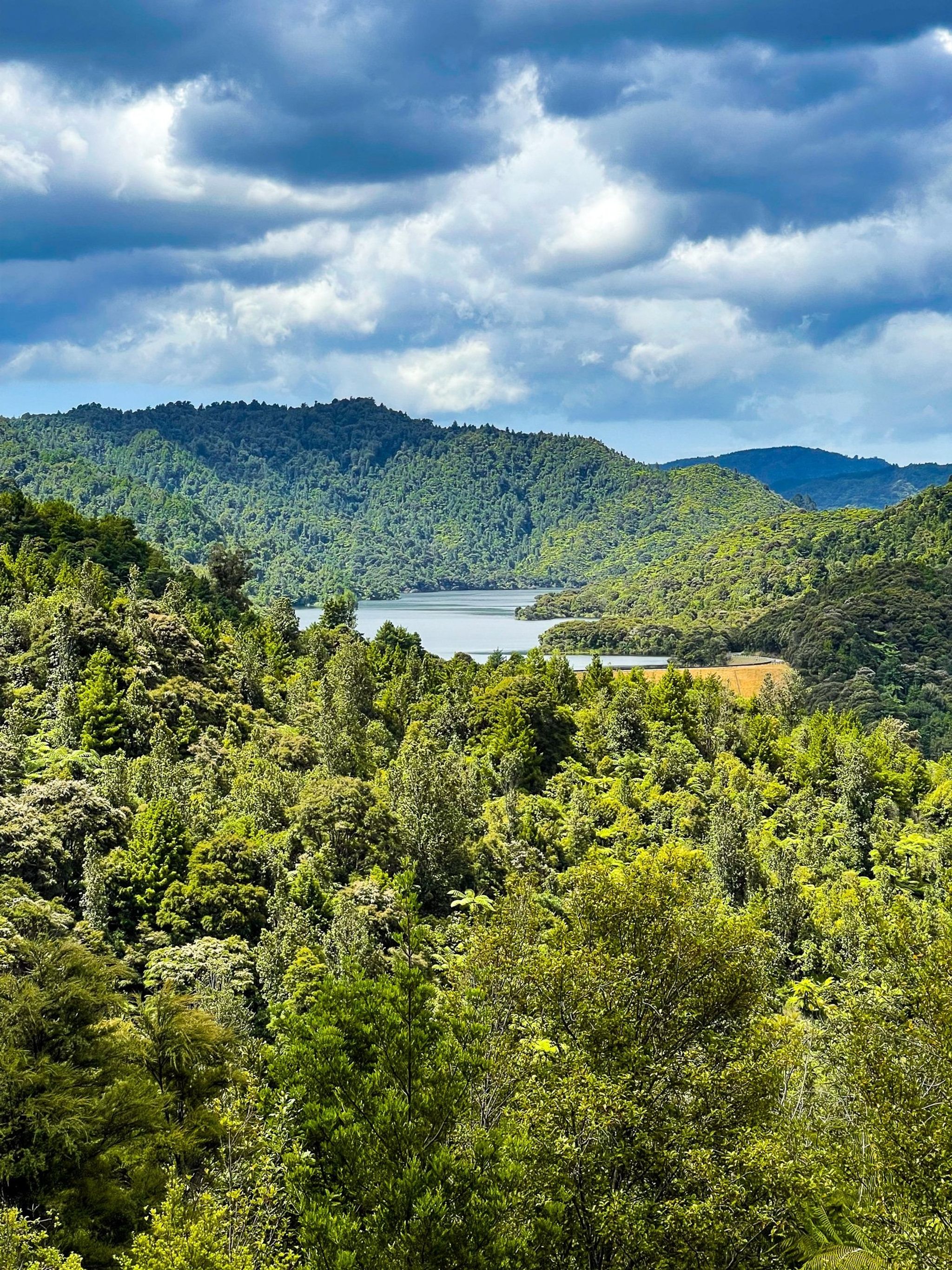 Hunua Ranges | South Auckland - New Zealand Trip Ideas