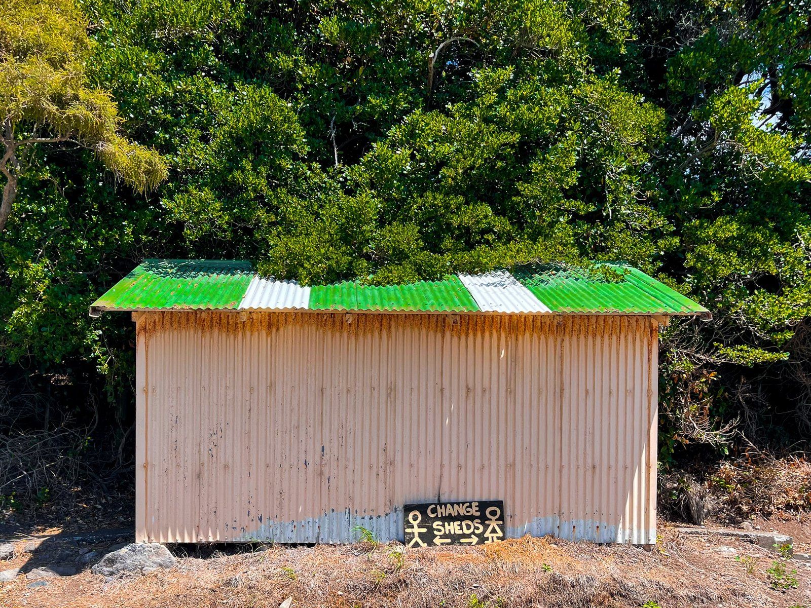 Image 10 of 11