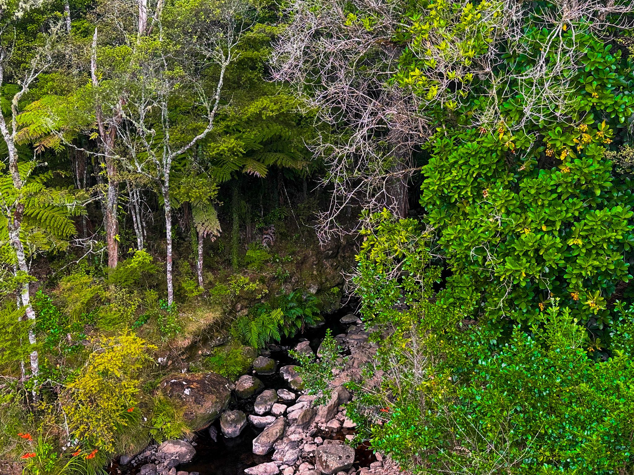 Image 10 of 10