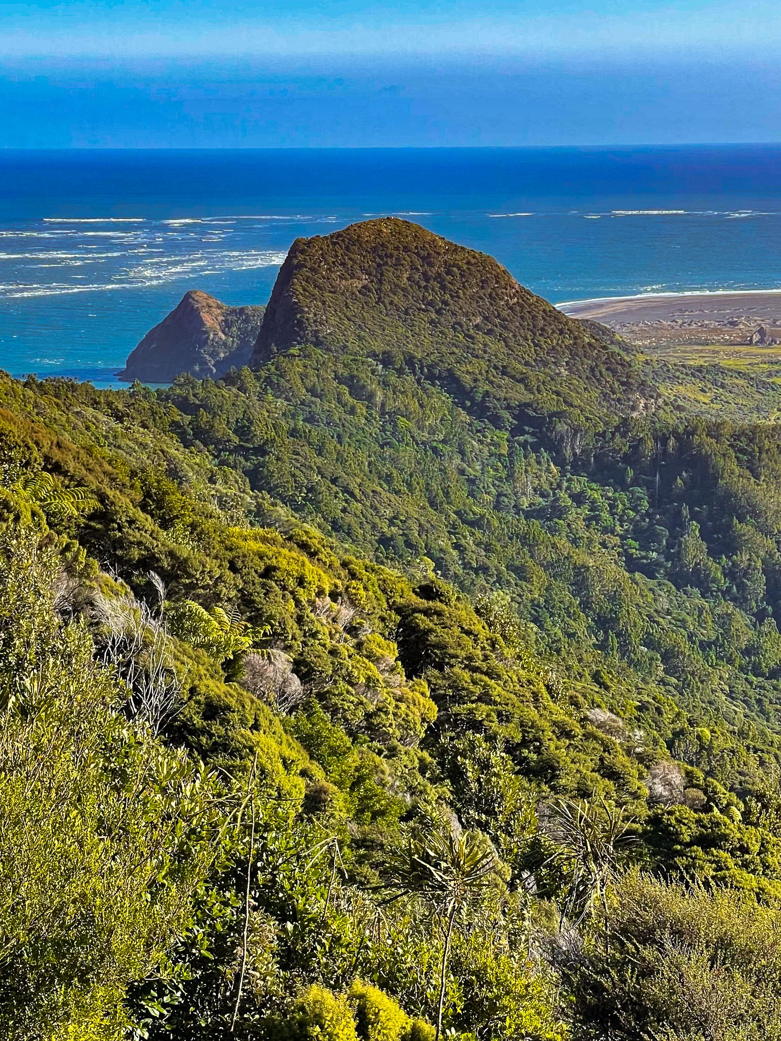 Puriri Ridge Track – Hillary Trail