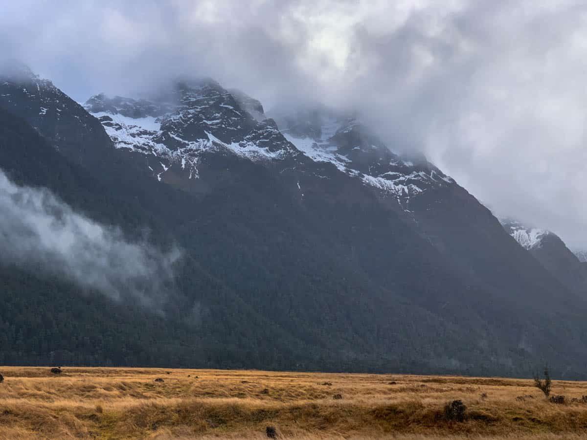 Image 8 of 9
