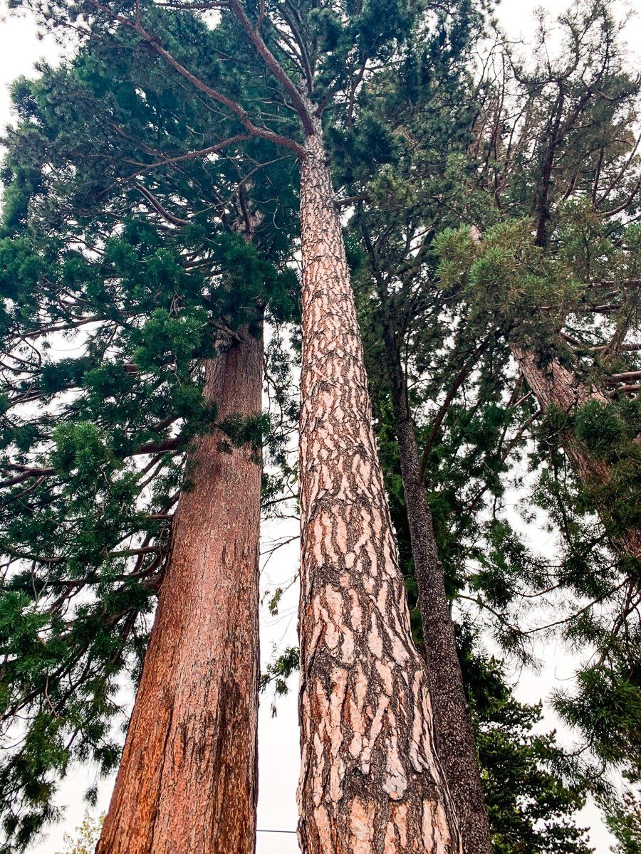 Image 4 of 7