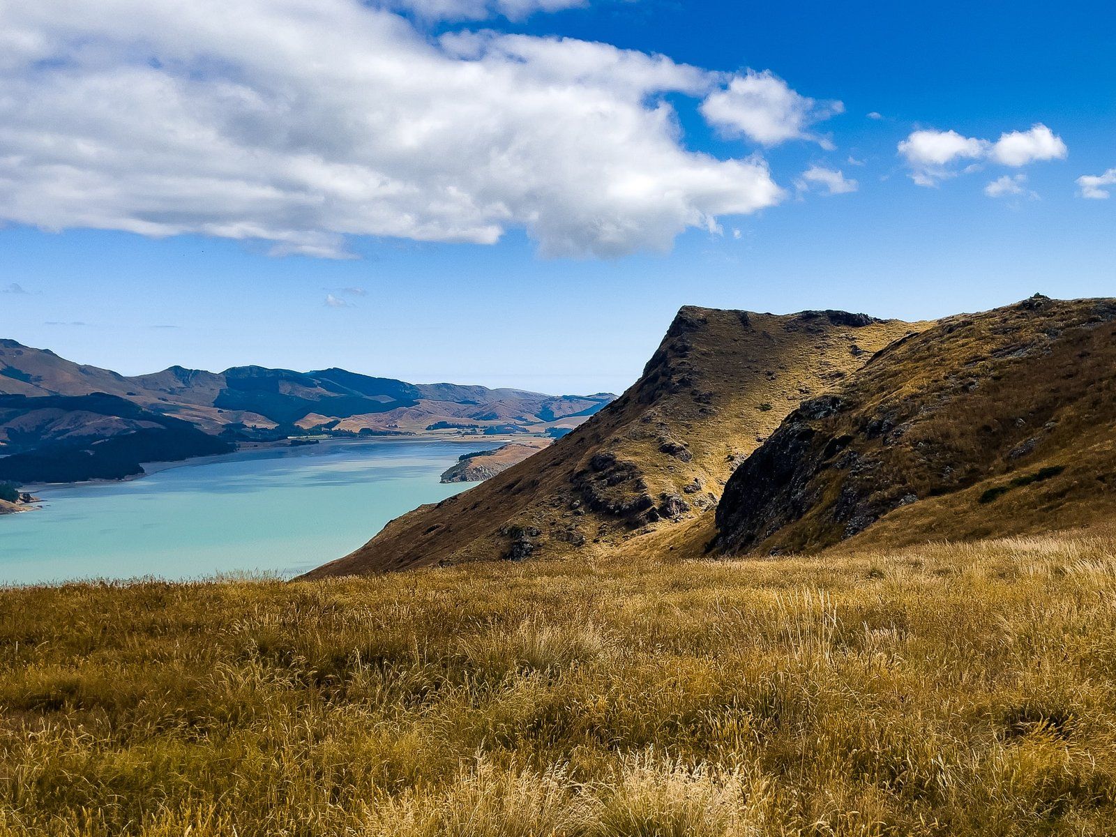 Upoko-o-Kurī Witch Hill