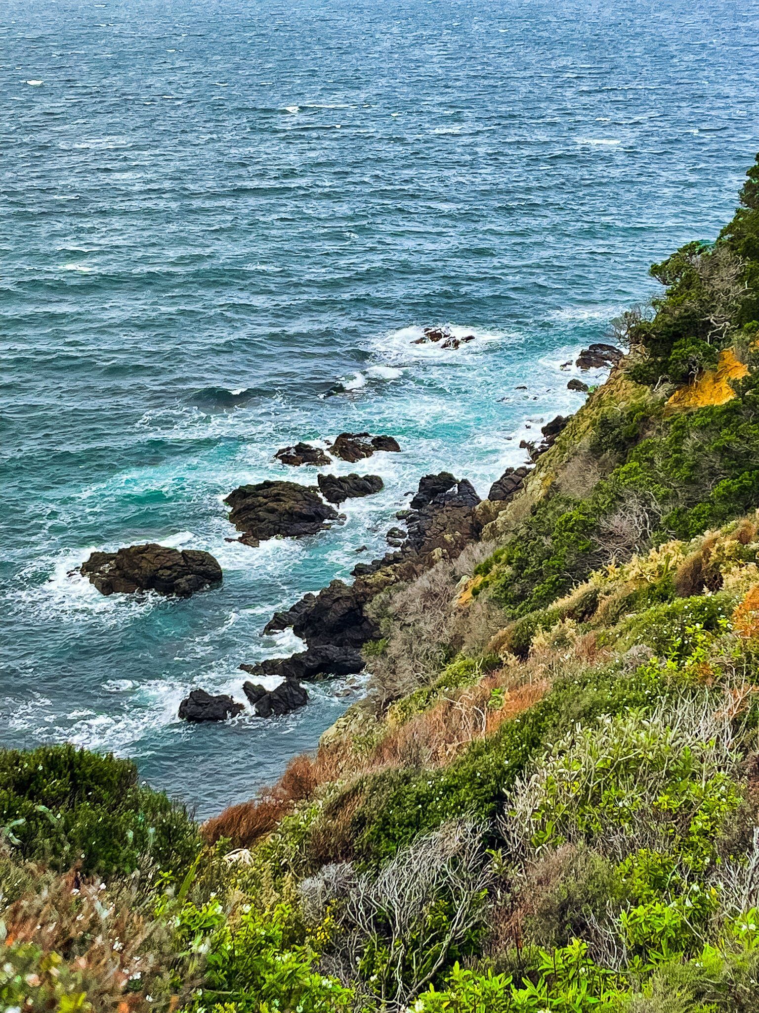 Image 6 of 9