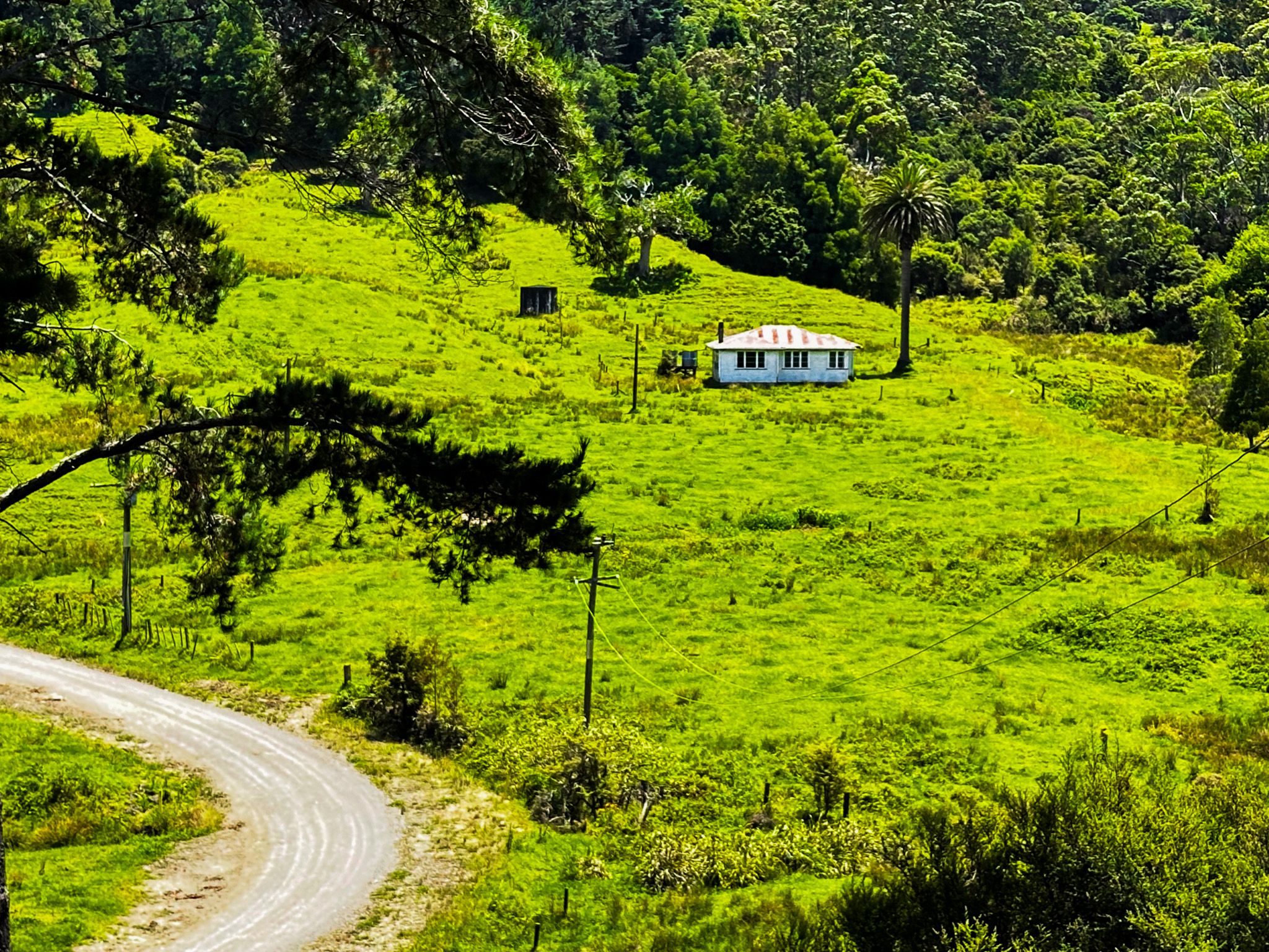 Image 8 of 10