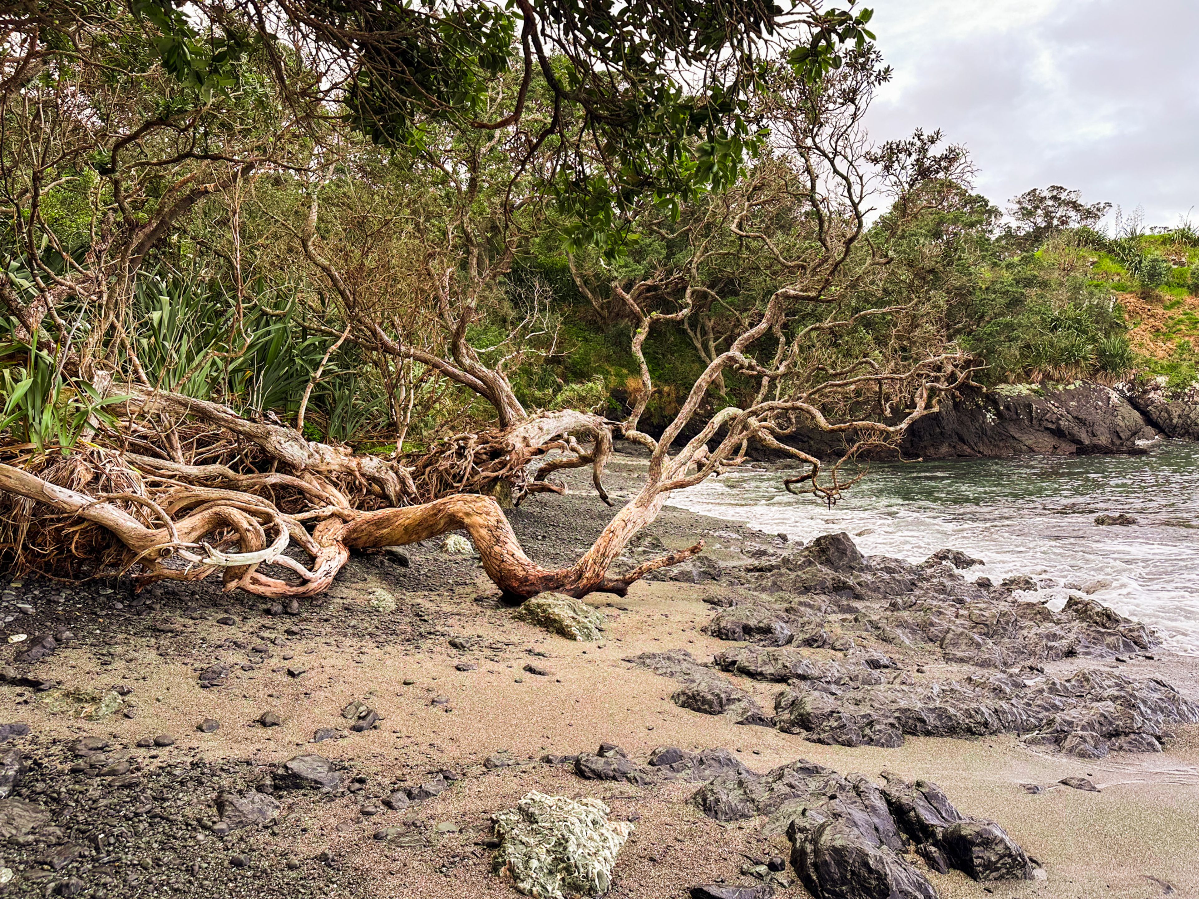 Image 7 of 10