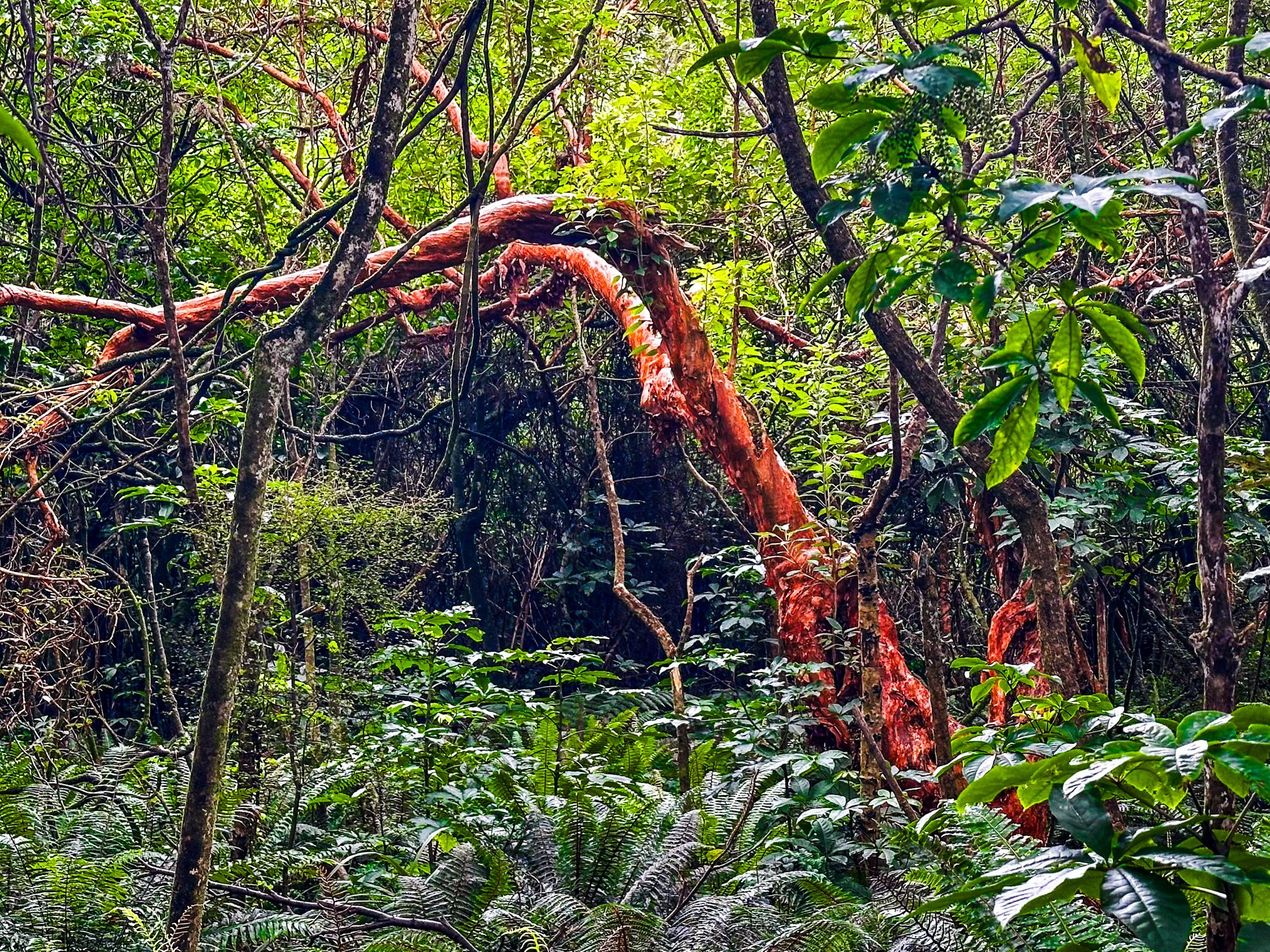 Image 8 of 10