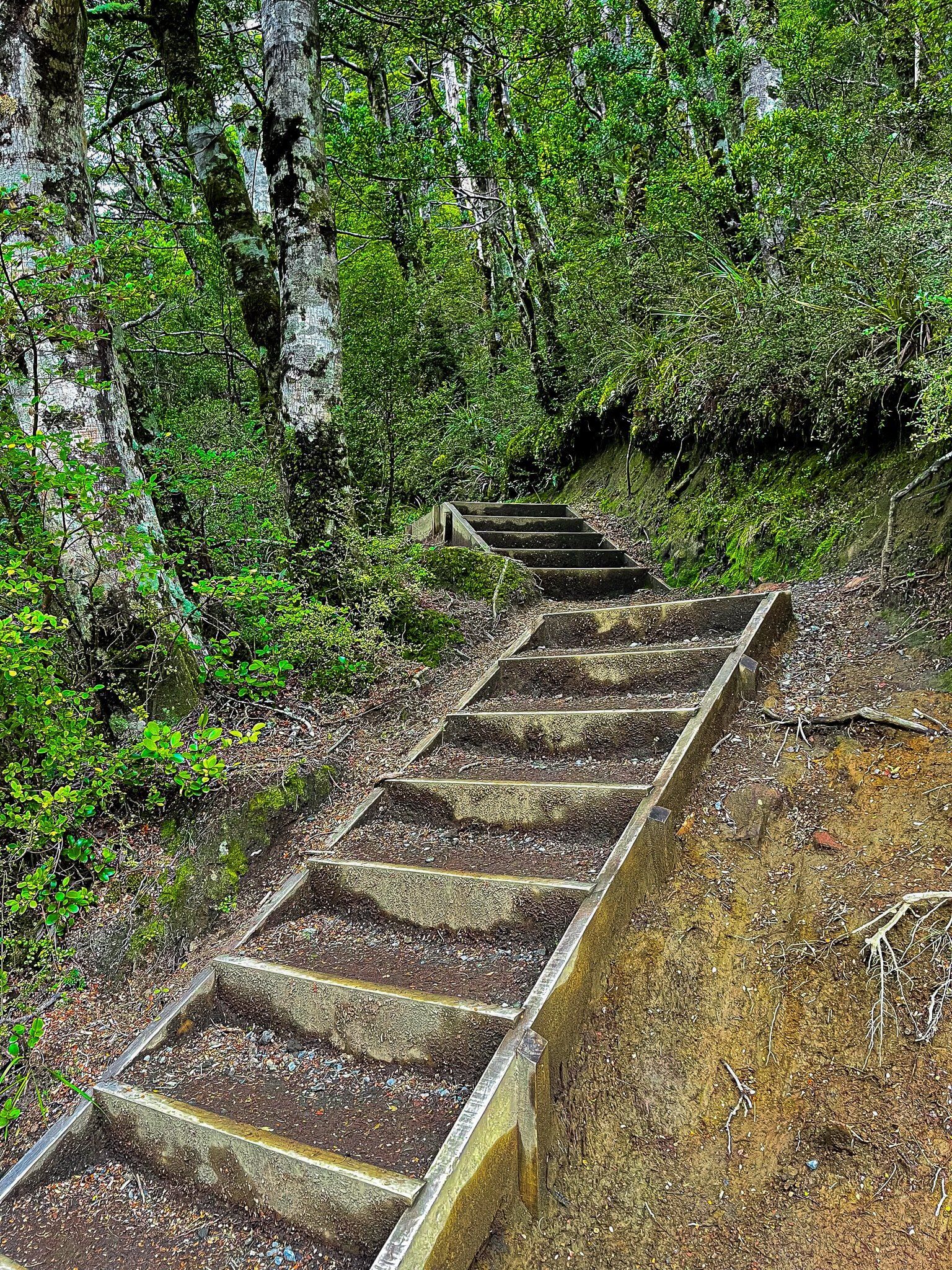 Image 9 of 11