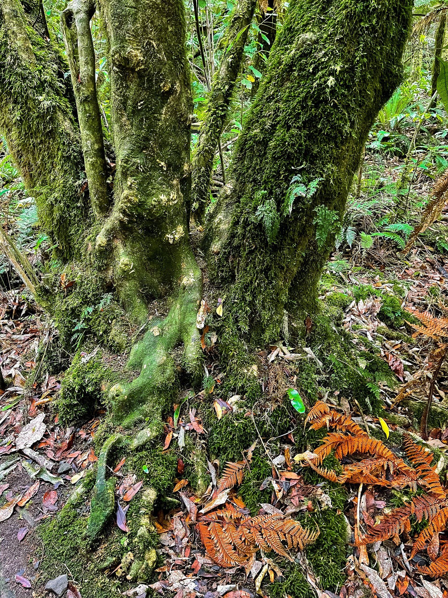 Image 3 of 10
