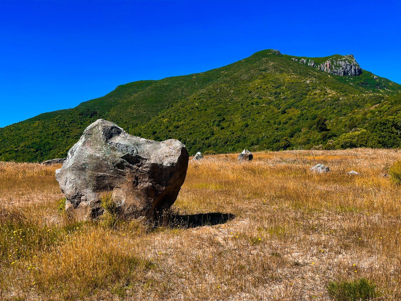 Image 7 of 10